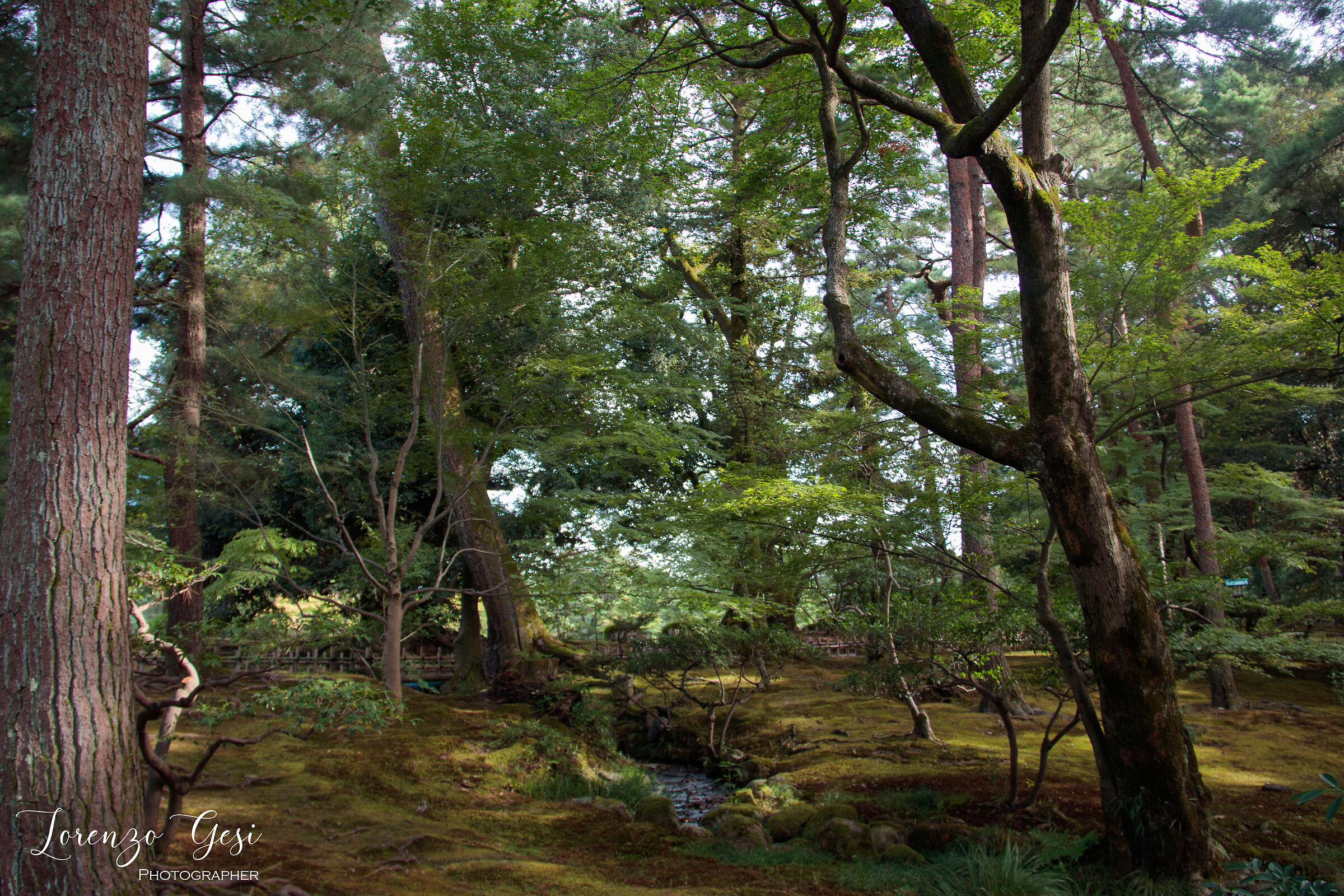 Kanazawa - Kenroku-en