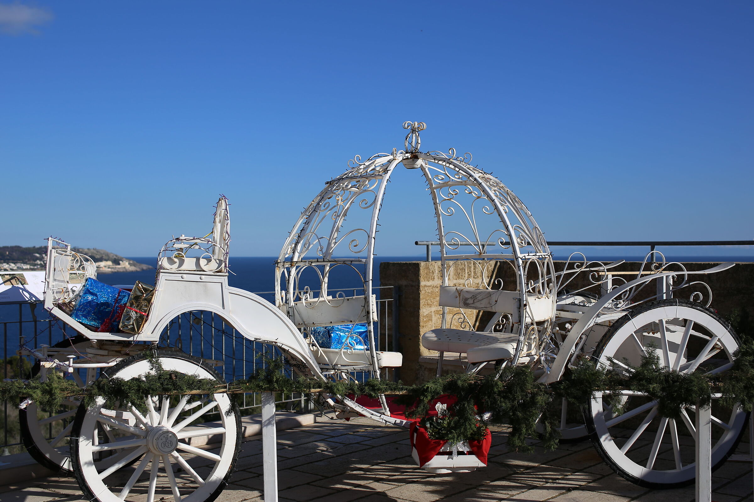 Milvus Zeiss 50, 1.4- Canon 6 D