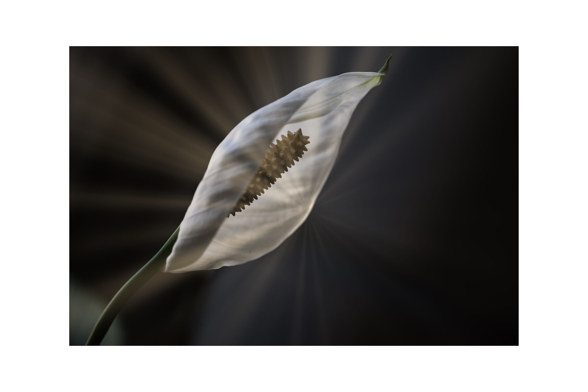 If there is light inside, there is light outside too