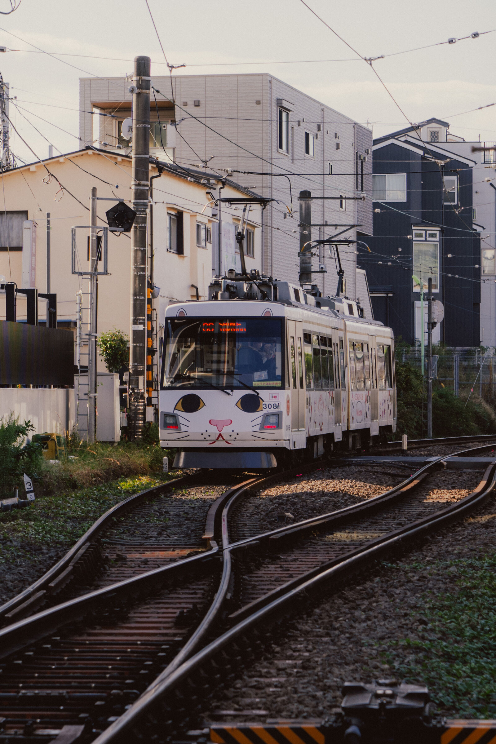 Gatto in arrivo al binario 1