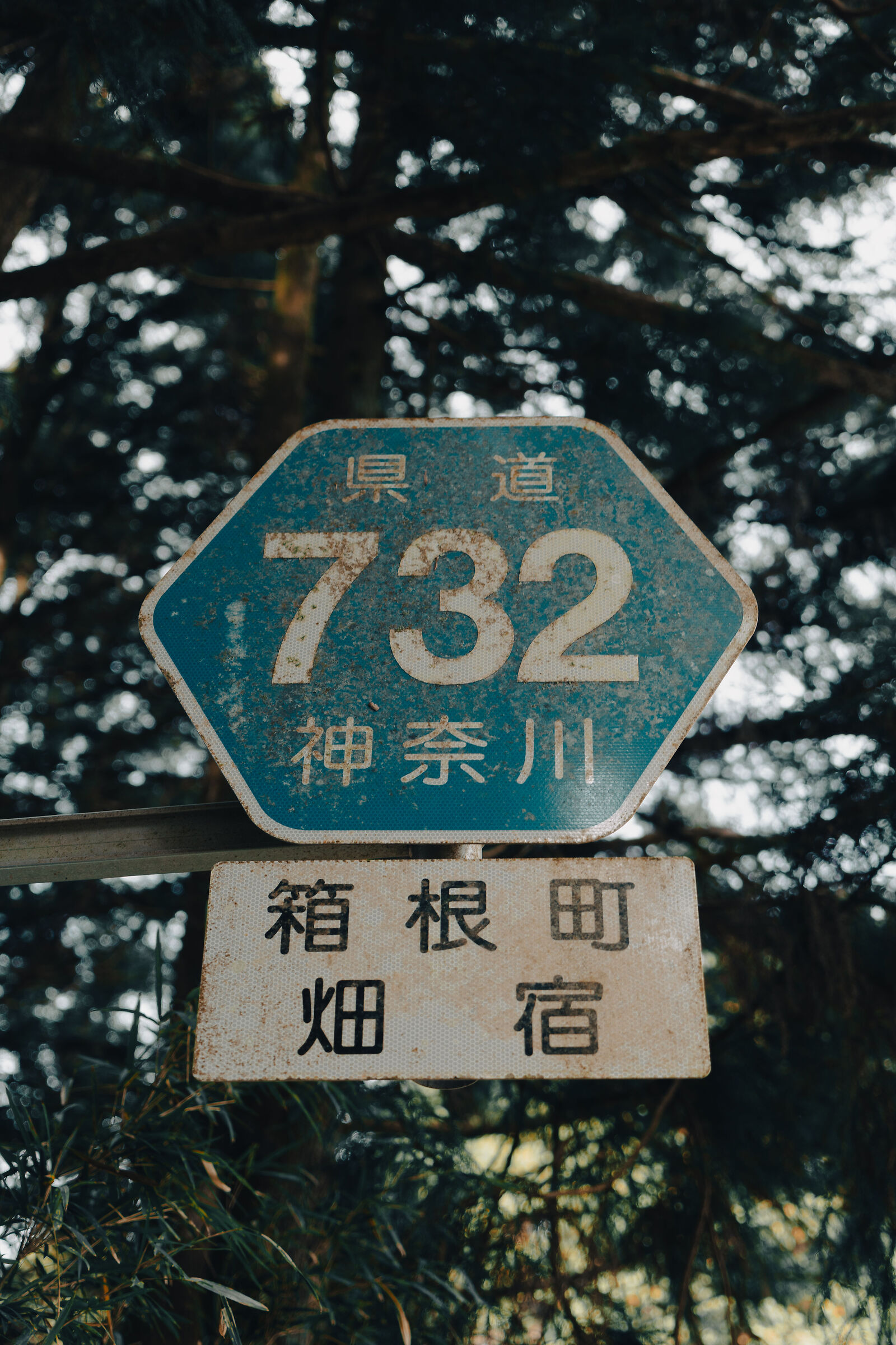 Strada prefetturale numero 732