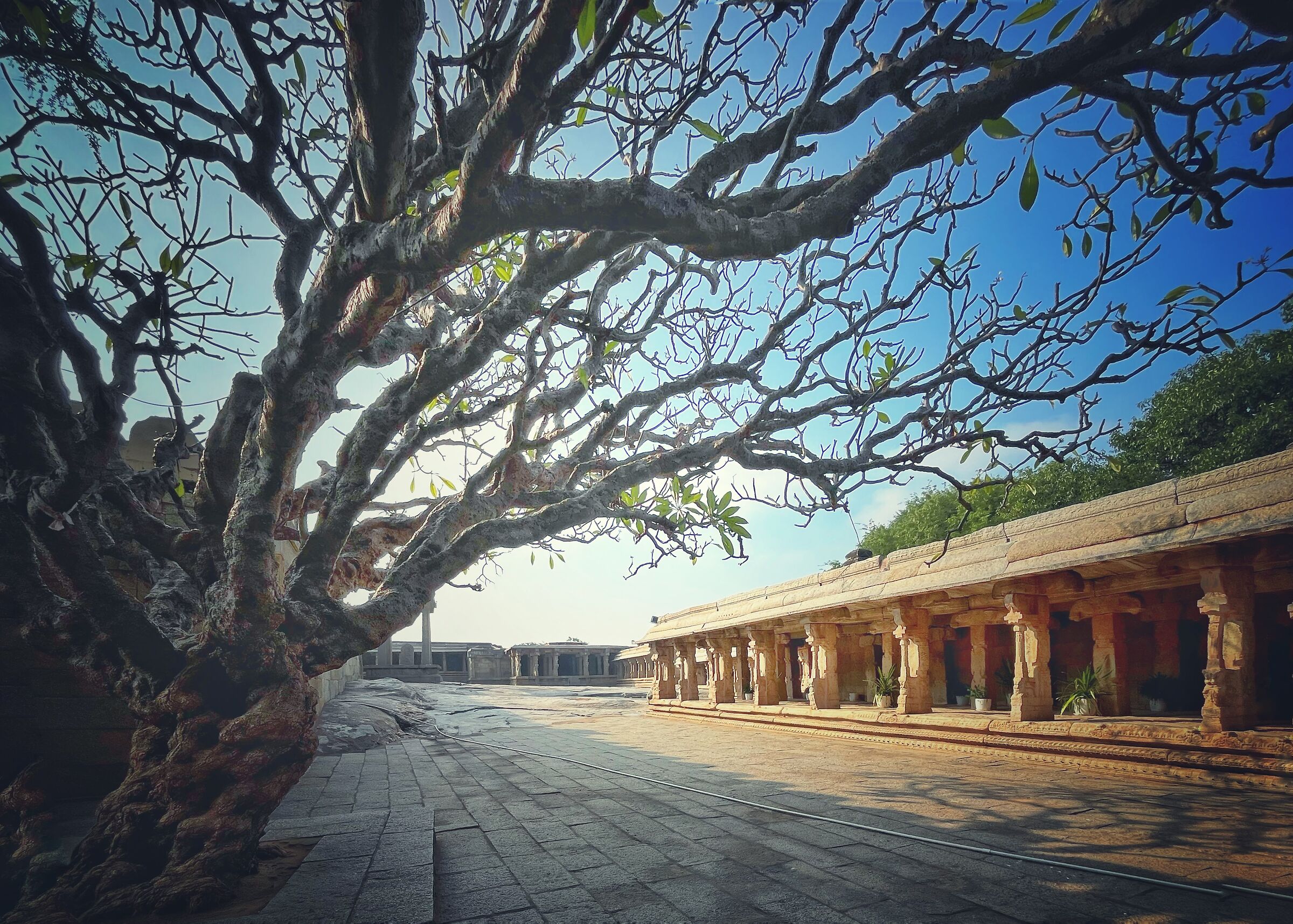 Tempio di Lepakshi, India
