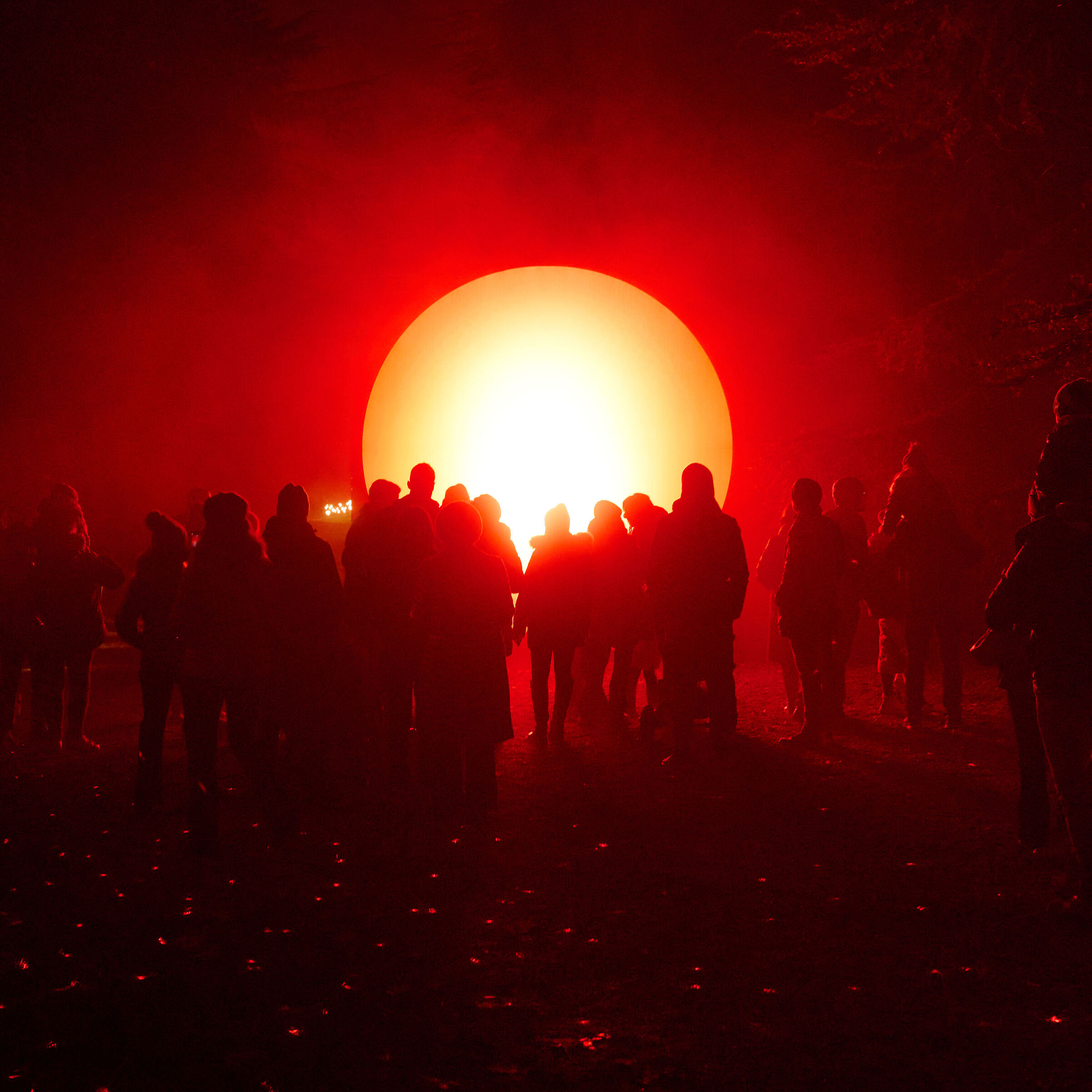 Primordial