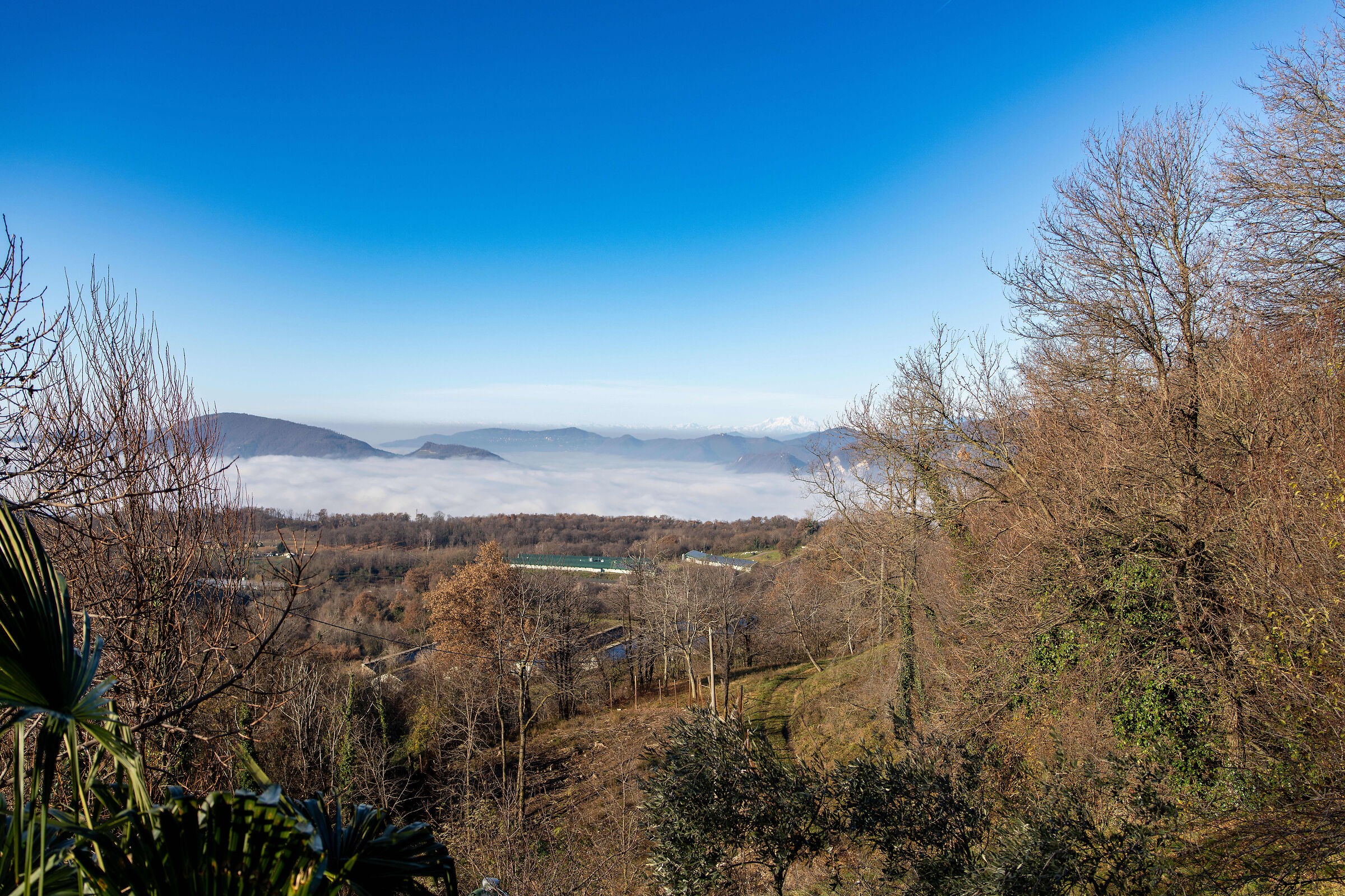 estremità del lago d'Iseo con la nebbia al mattin...