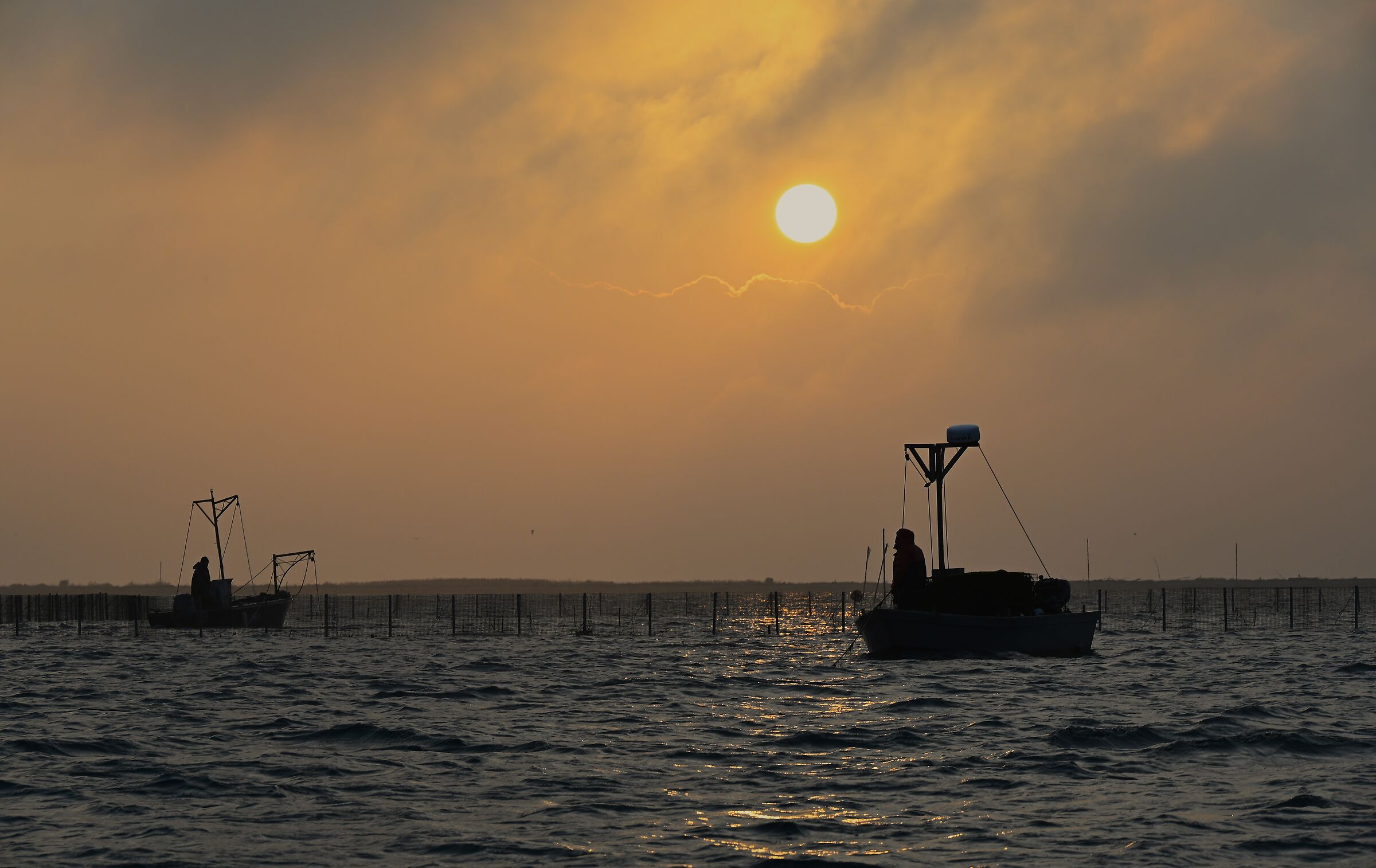 A pesca nella Sacca di Scardovari
