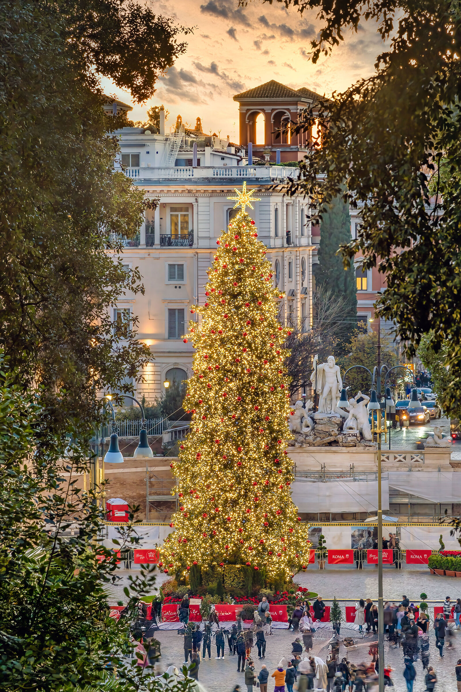 L'albero di Natale a piazza del Popolo
