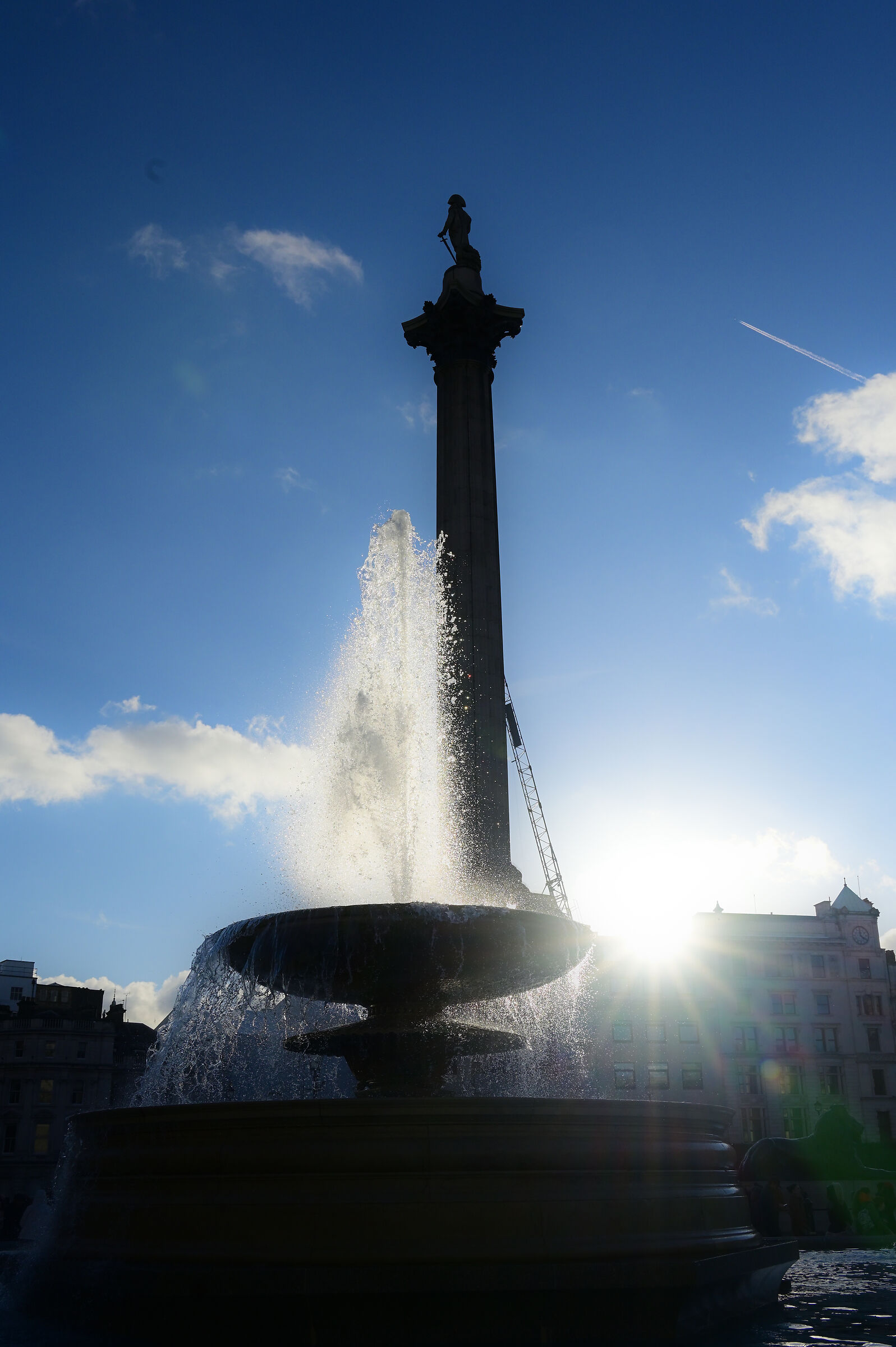 Silhouette Comandande Nelson