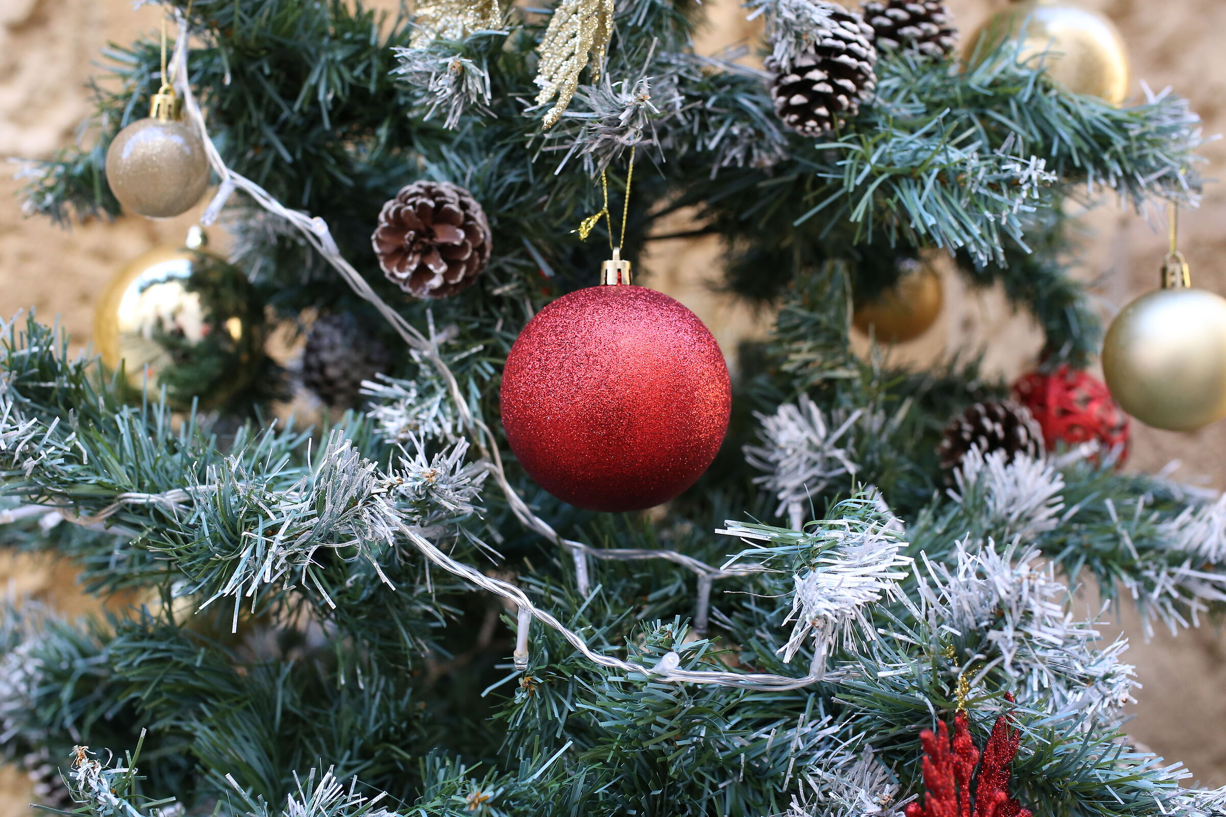 Ei, Milvus Zeiss 50, 1.4- Canon 6 D