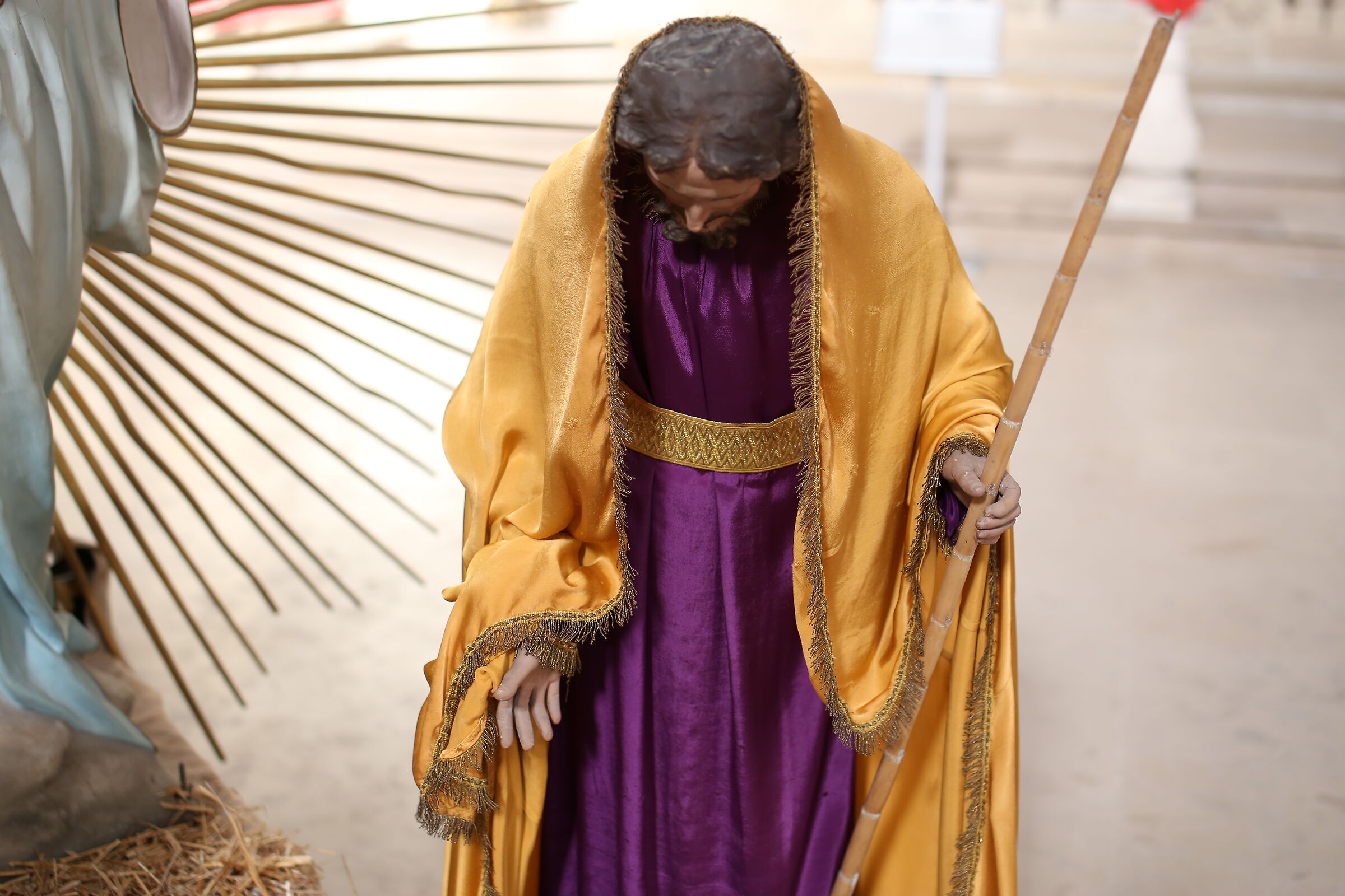 Milvus Zeiss 50, 1.4, Canon 6 D