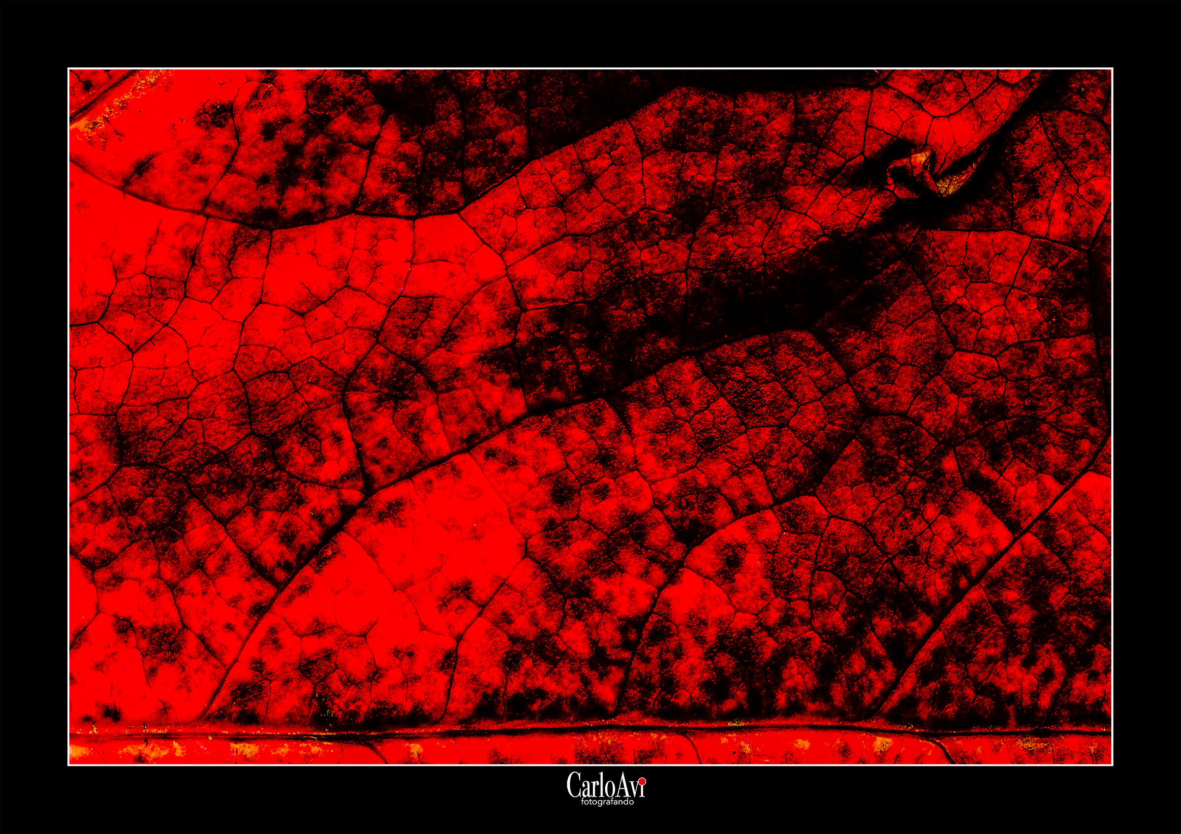 il Rosso e il Nero