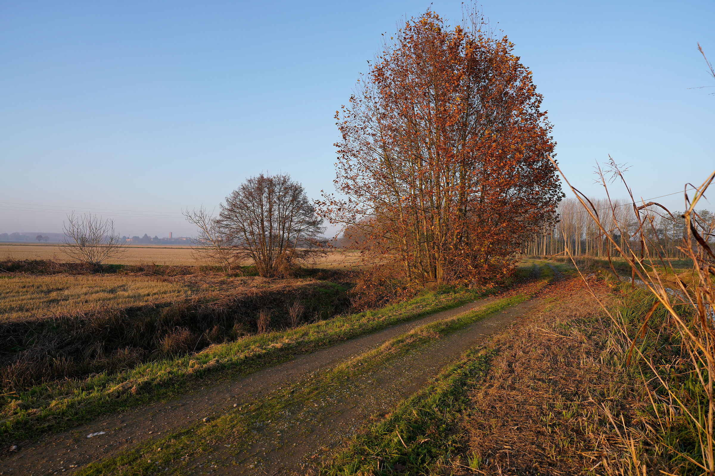 Late autumn twilight