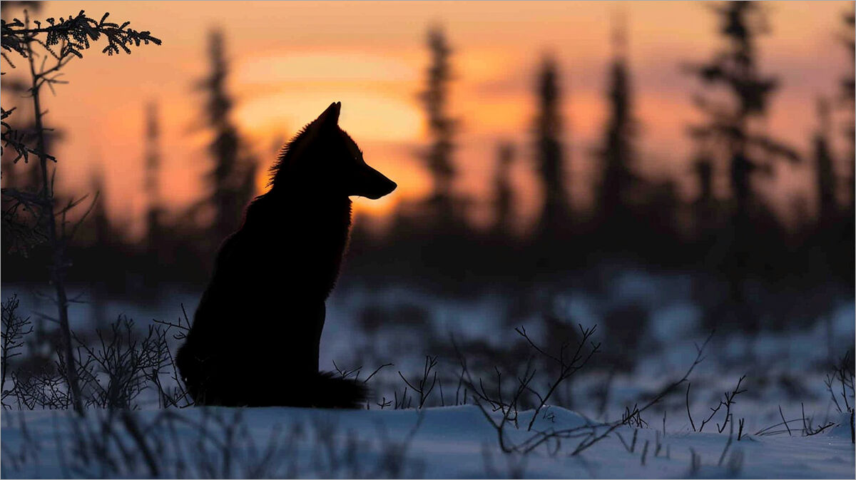 Winter is just around the corner