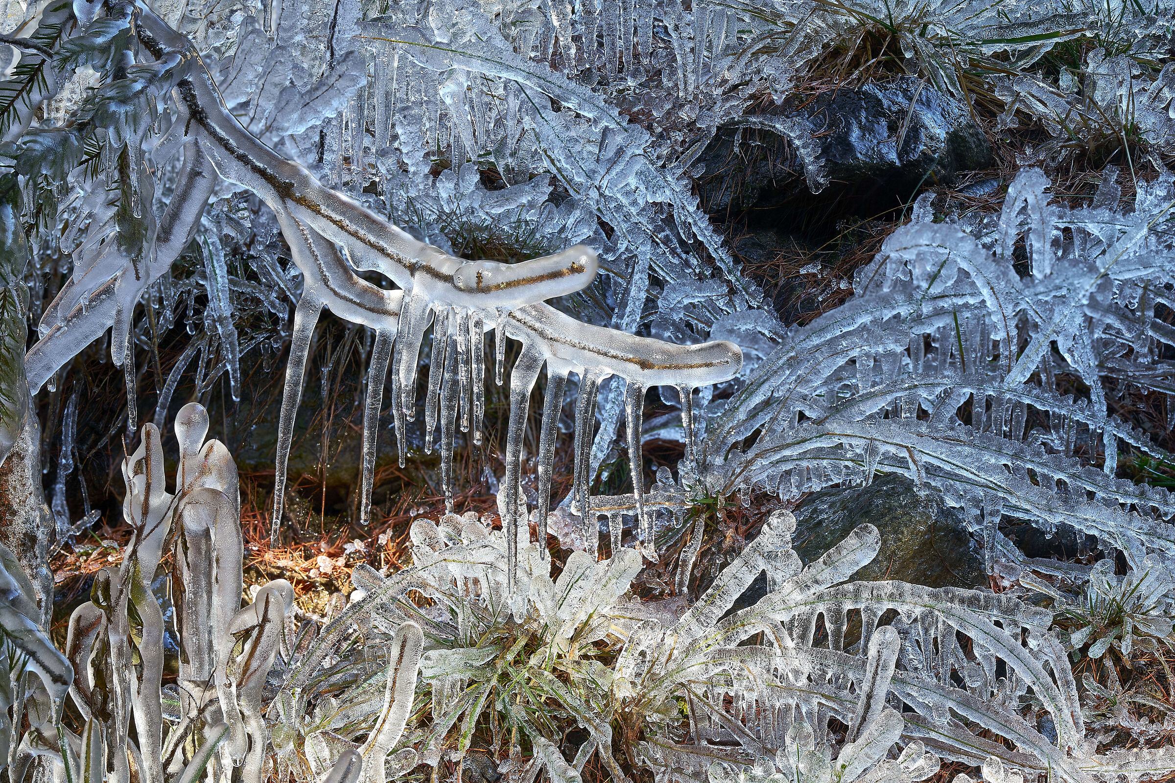 Decorazioni ghiacciate