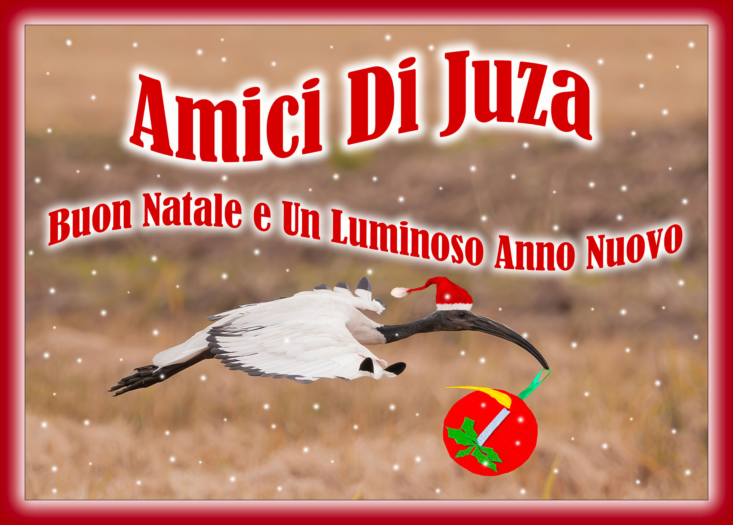 FRIENDS, BEST WISHES FOR THE HOLIDAYS !!