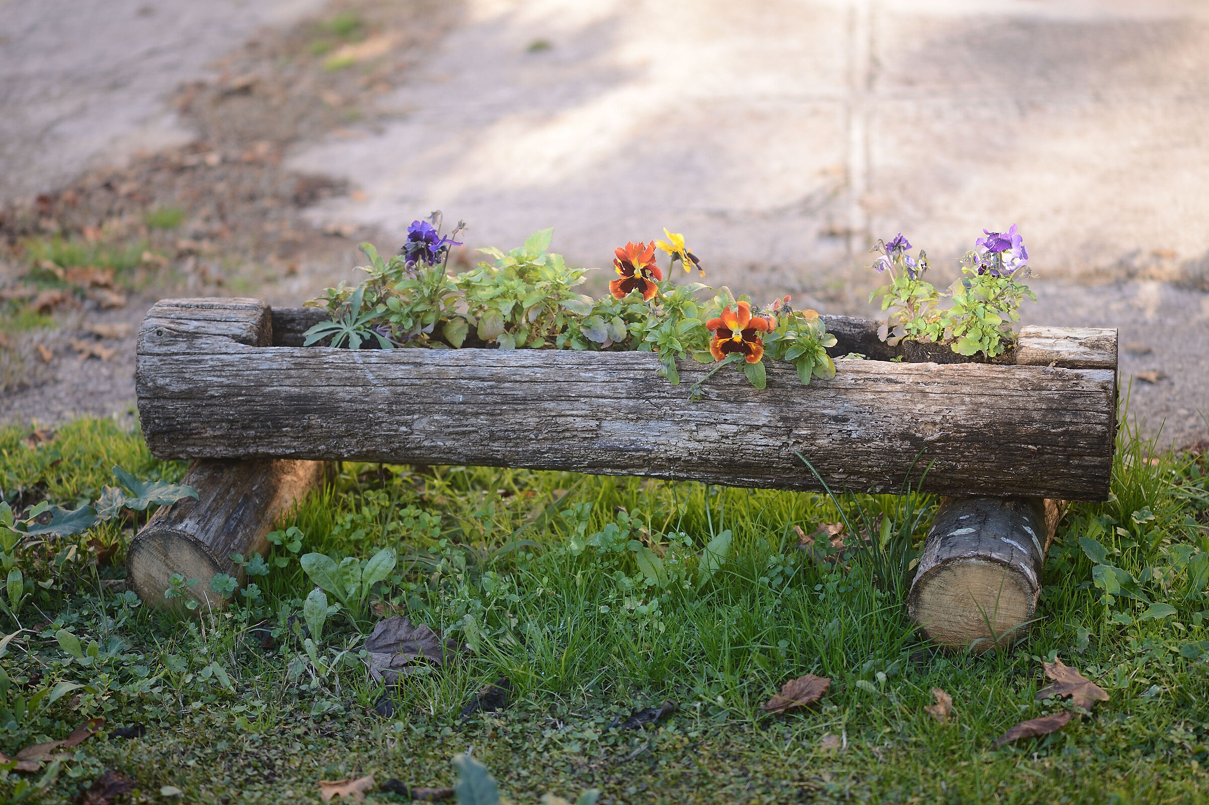 Nikon 105/2.5 AI lens test