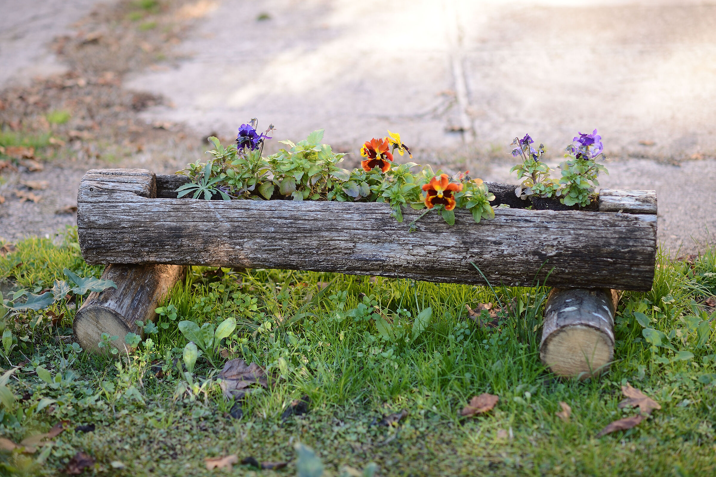 Nikon 105/2 DC lens test