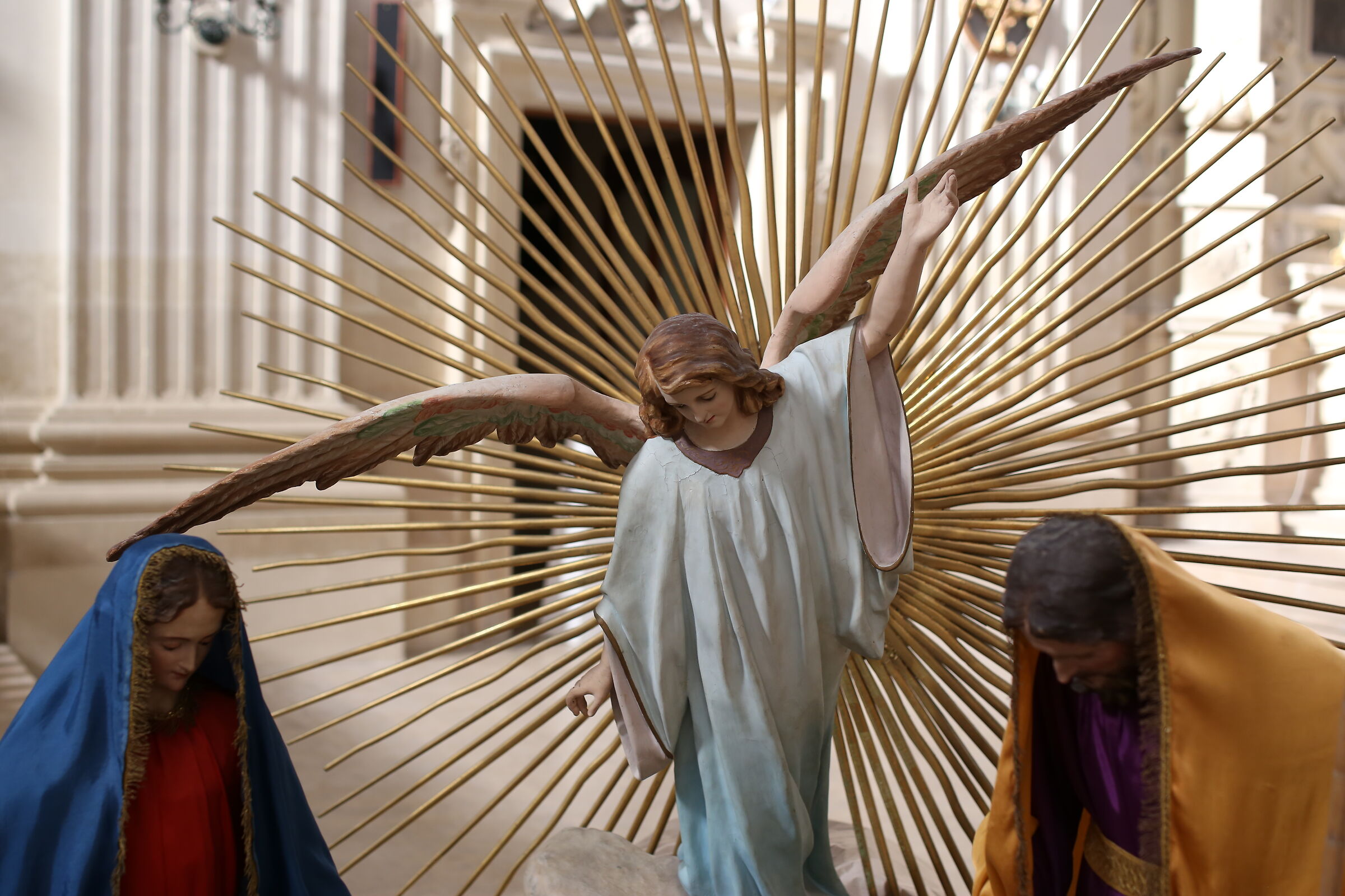 Milvus Zeiss 50, 1.4- Canon 6 D