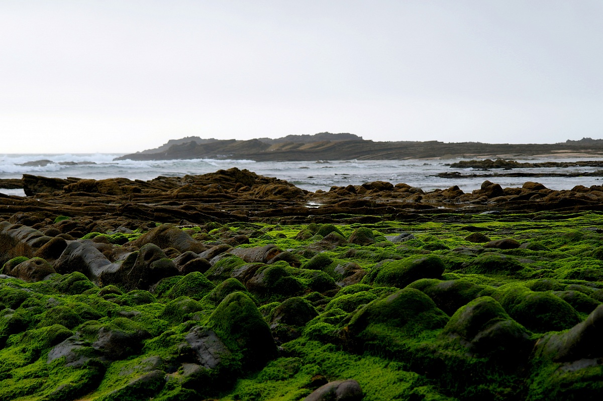 Carriagem Beach, Portugal