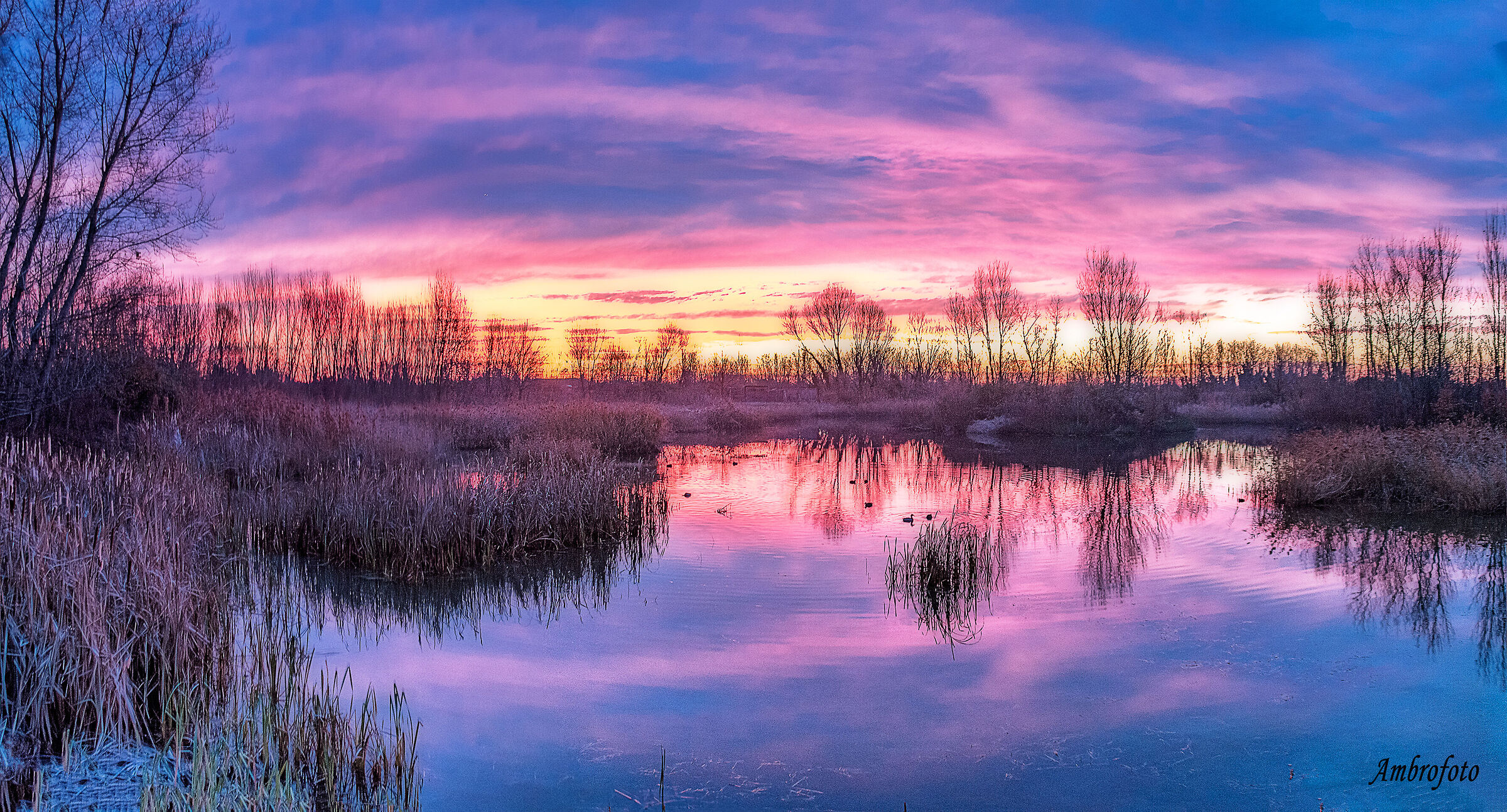 I colori dell'alba