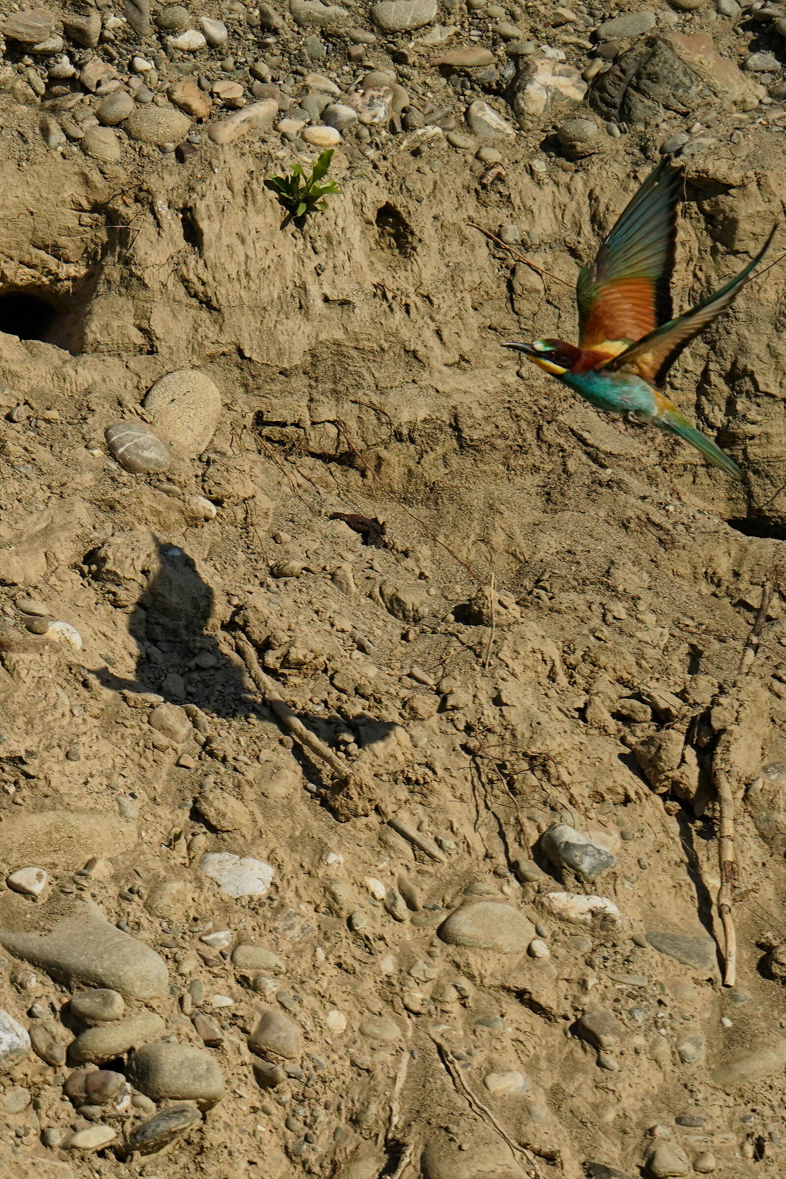 Grucione Magra river