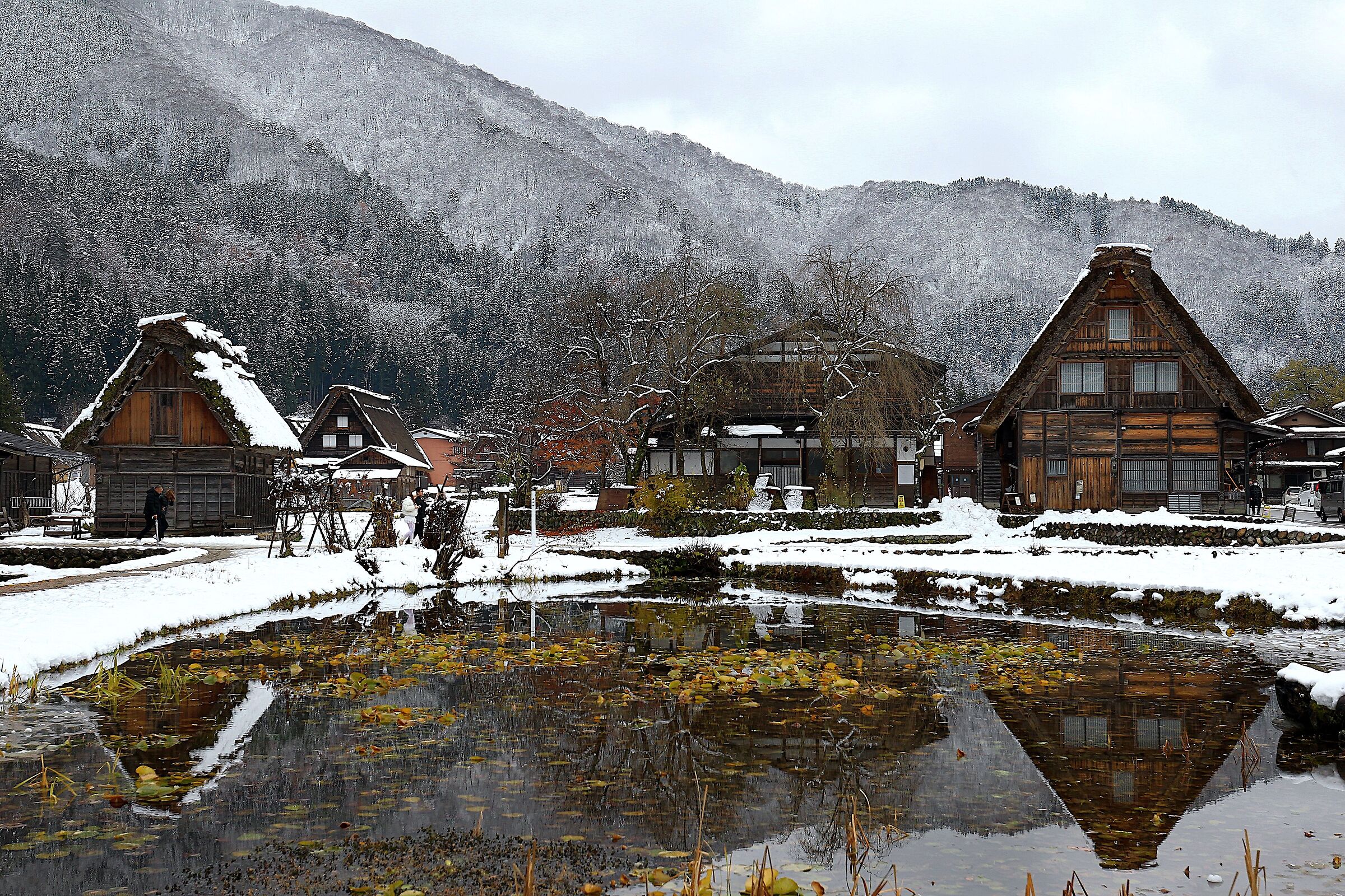 Shirakawa