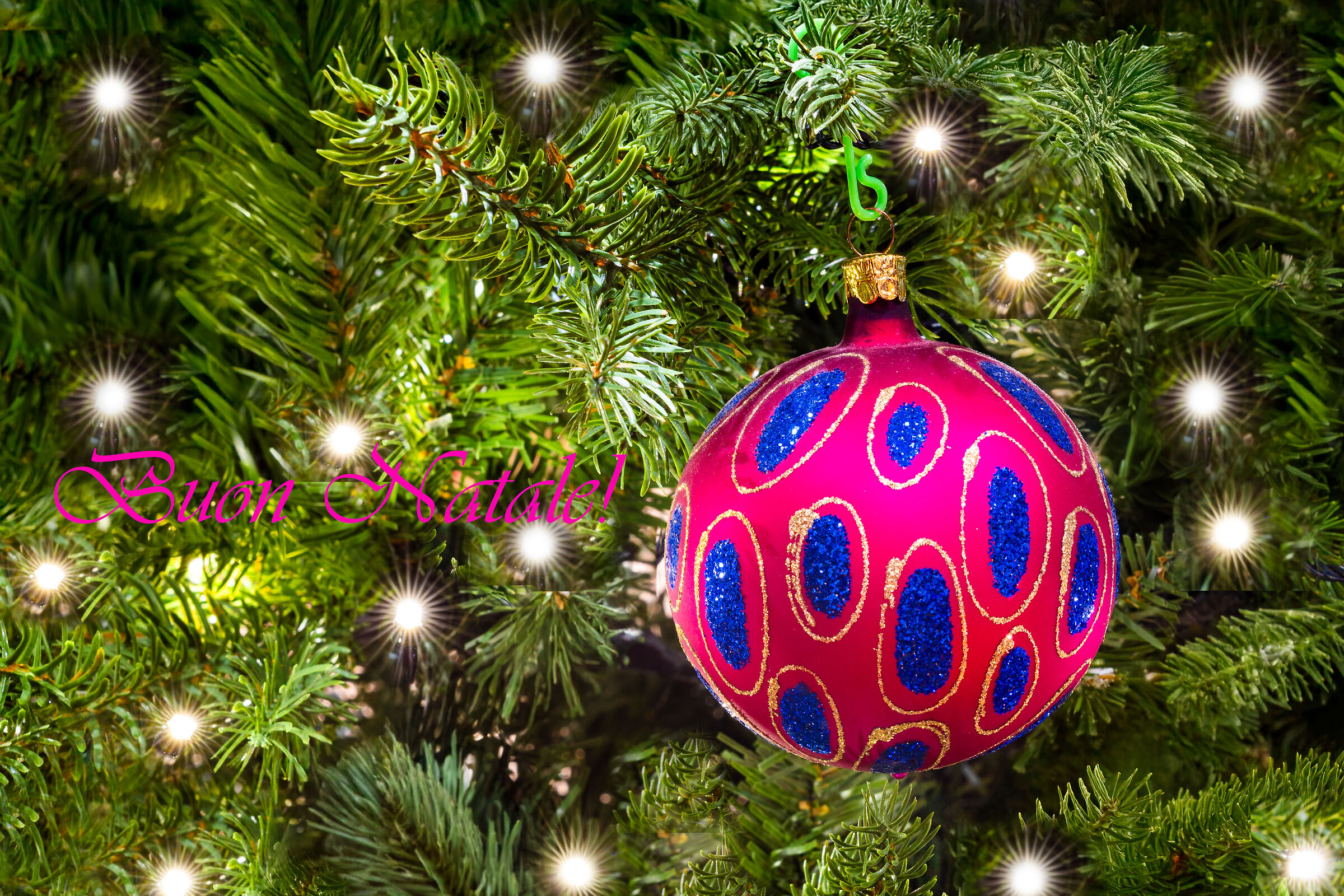 Auguri alle Amiche e agli Amici di Juza!