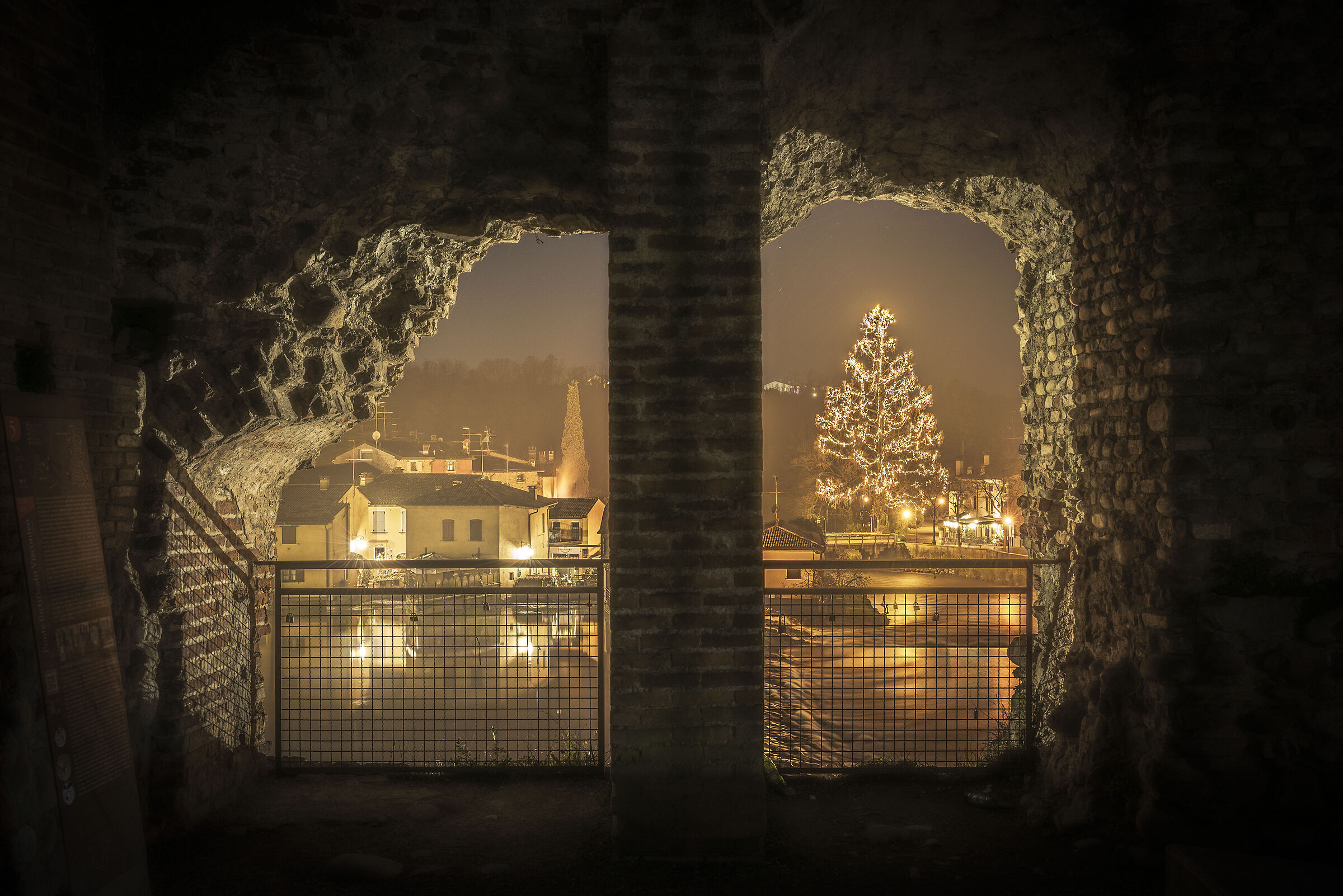 The Metasequoia dressed up for the occasion