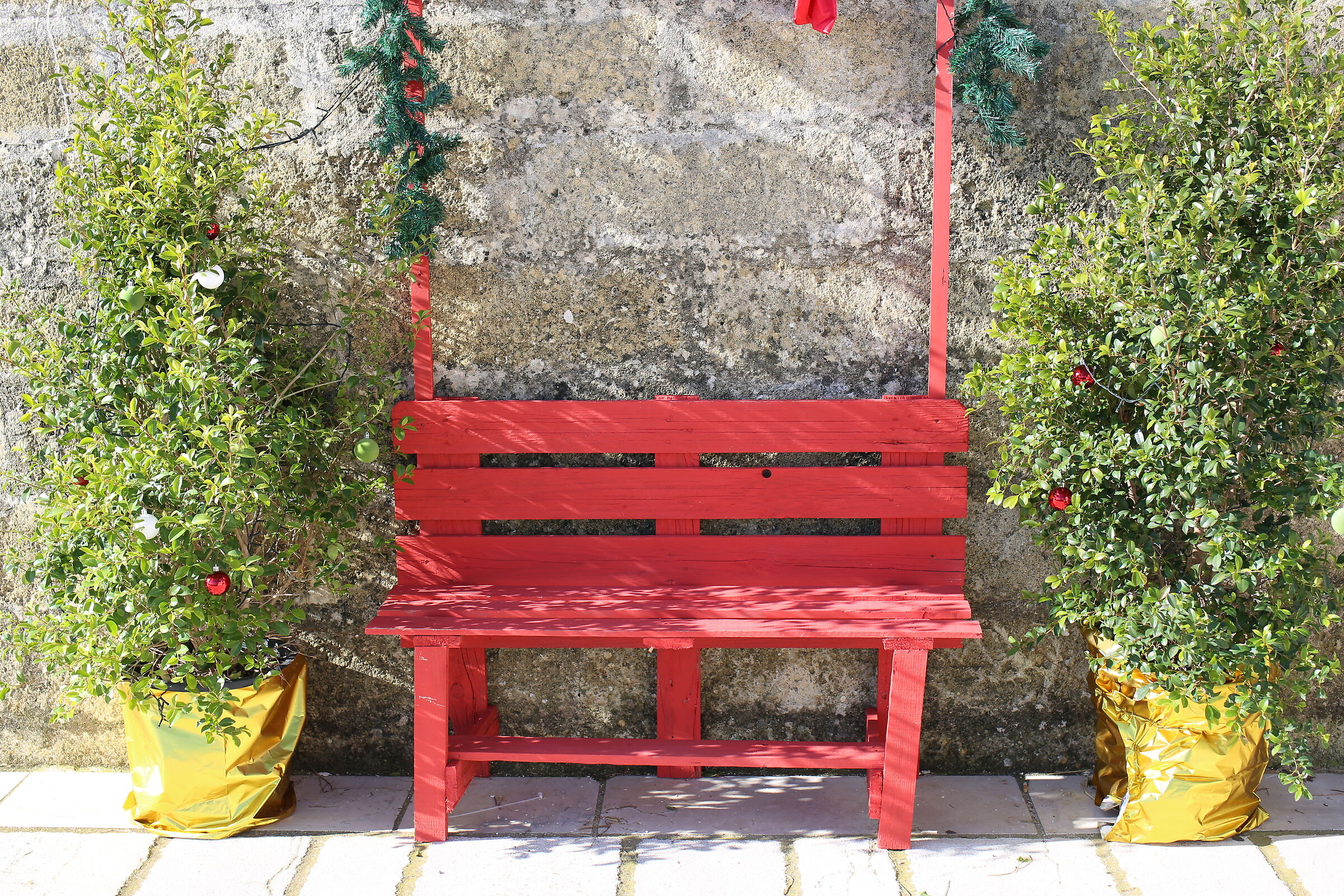 Milvus Zeiss 50, 1.4- Canon 6 D