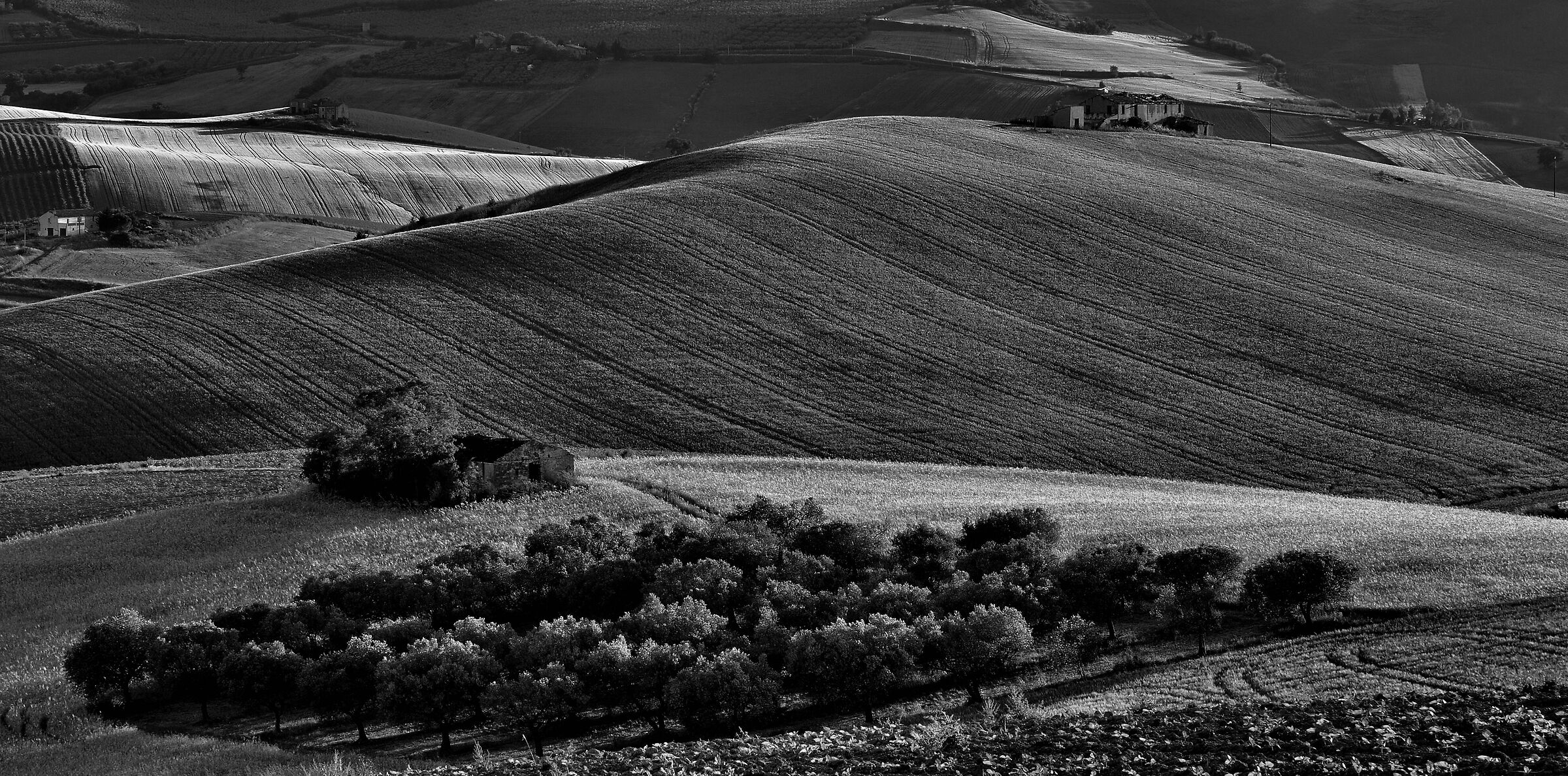Molise agreste