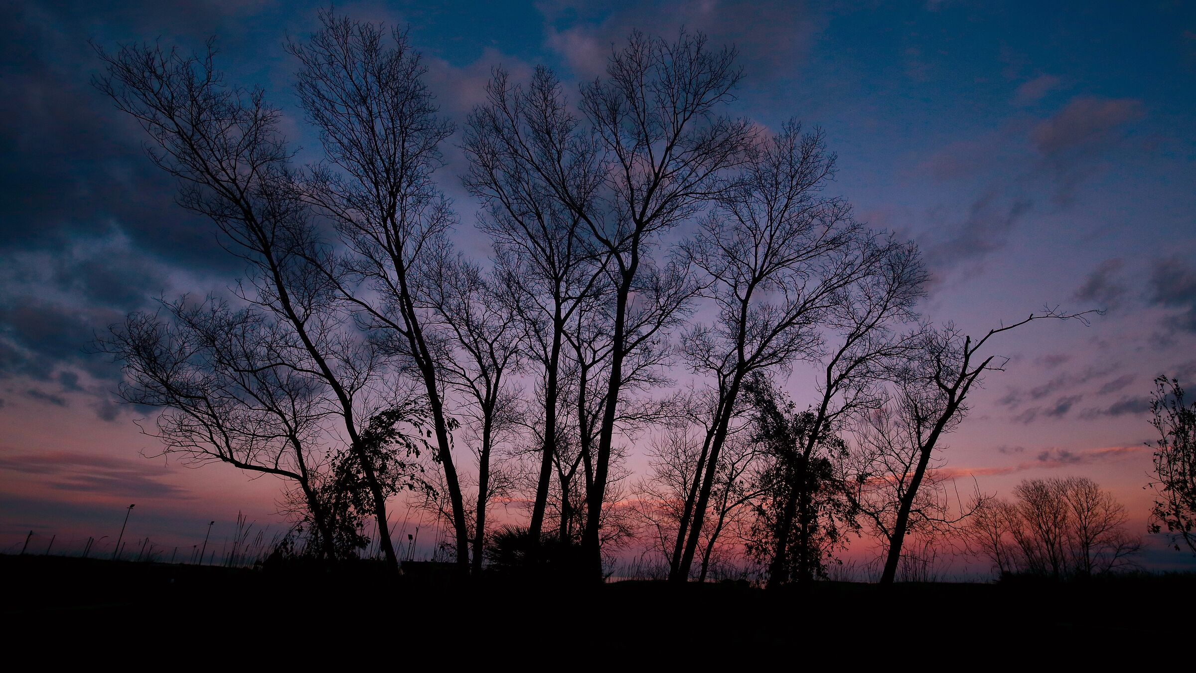 Tonight at dusk.