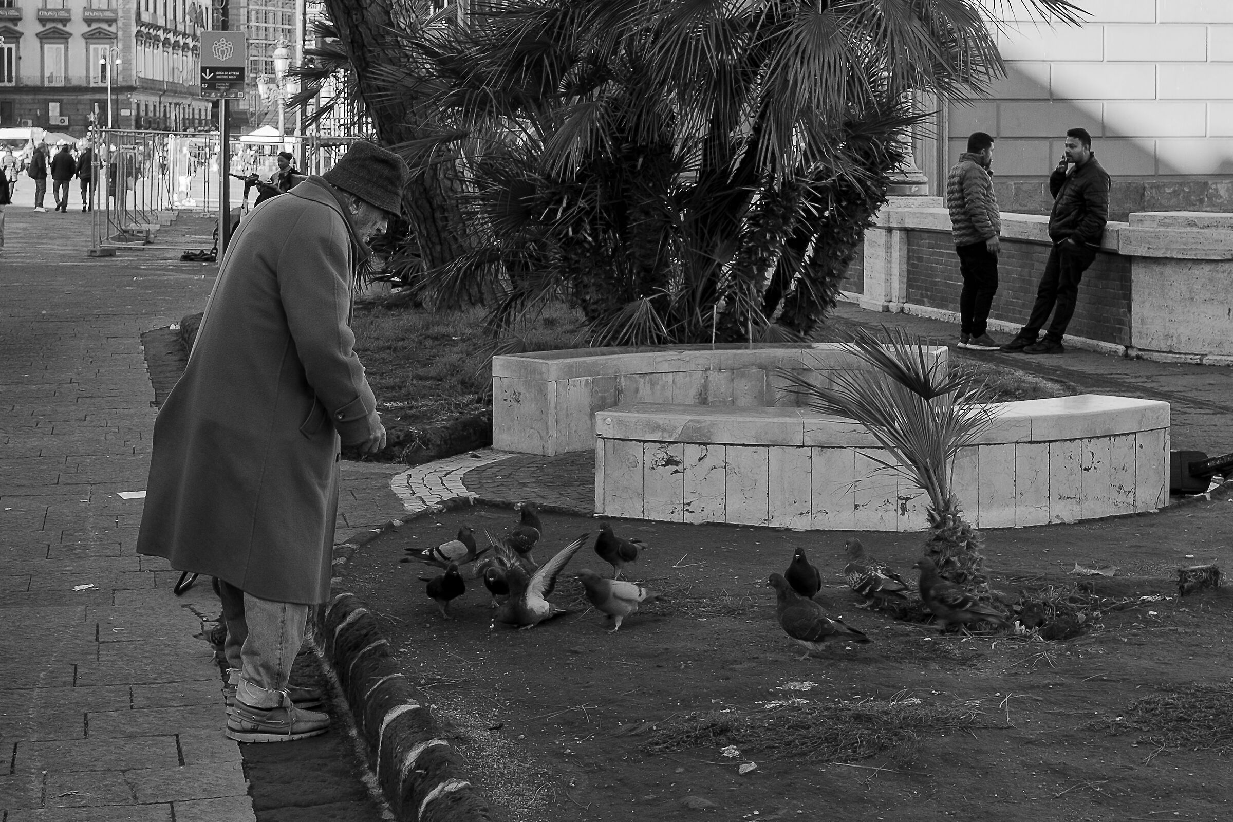 Animal rights activist