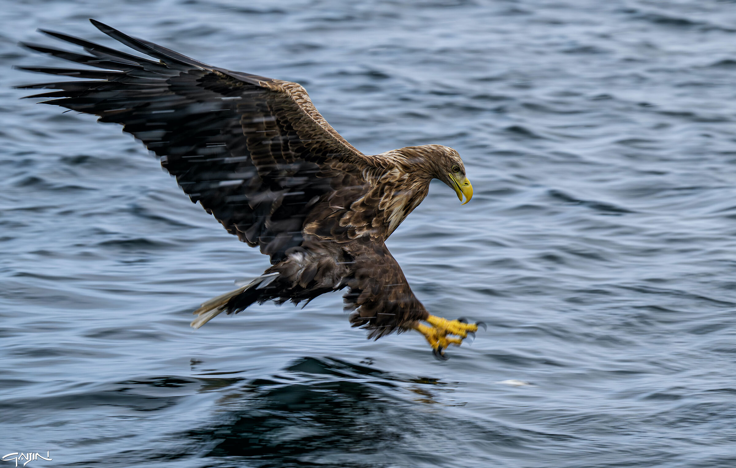 Catch of the day