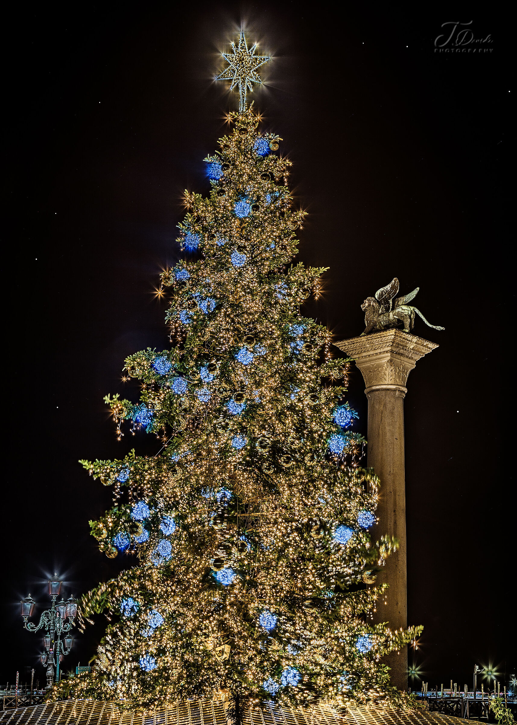 Christmas tree in St. Mark's Square