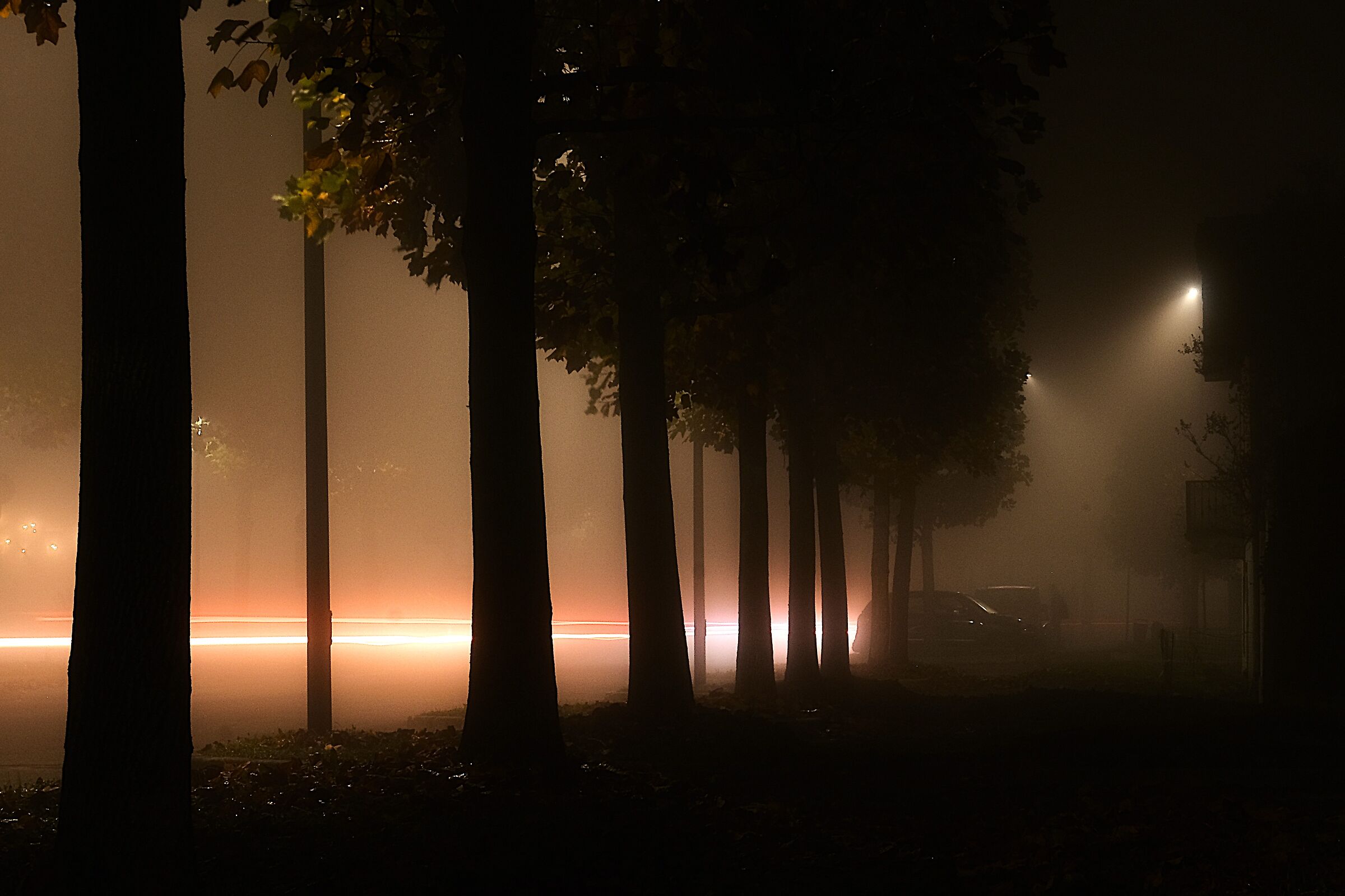 FOG