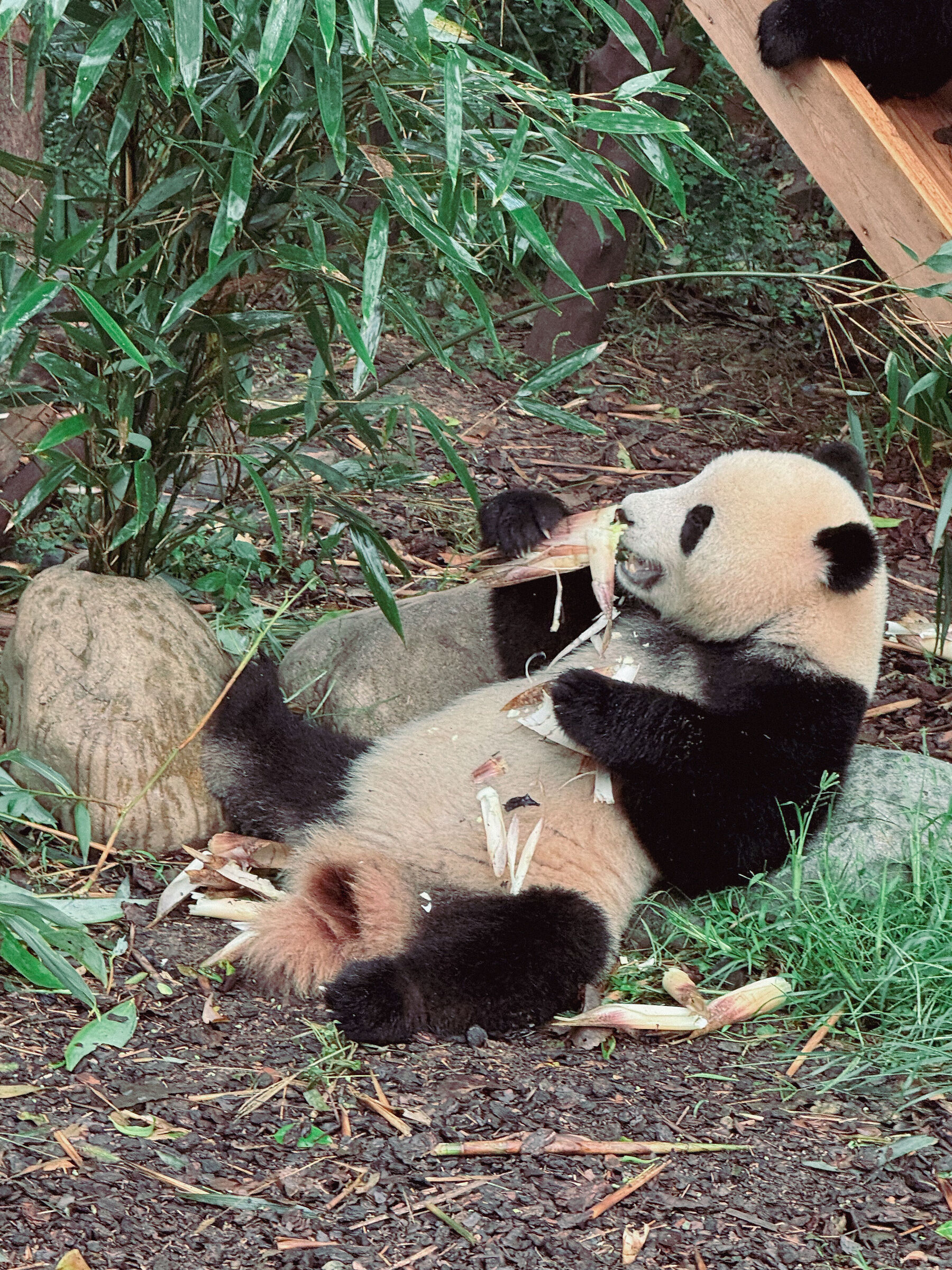 Po