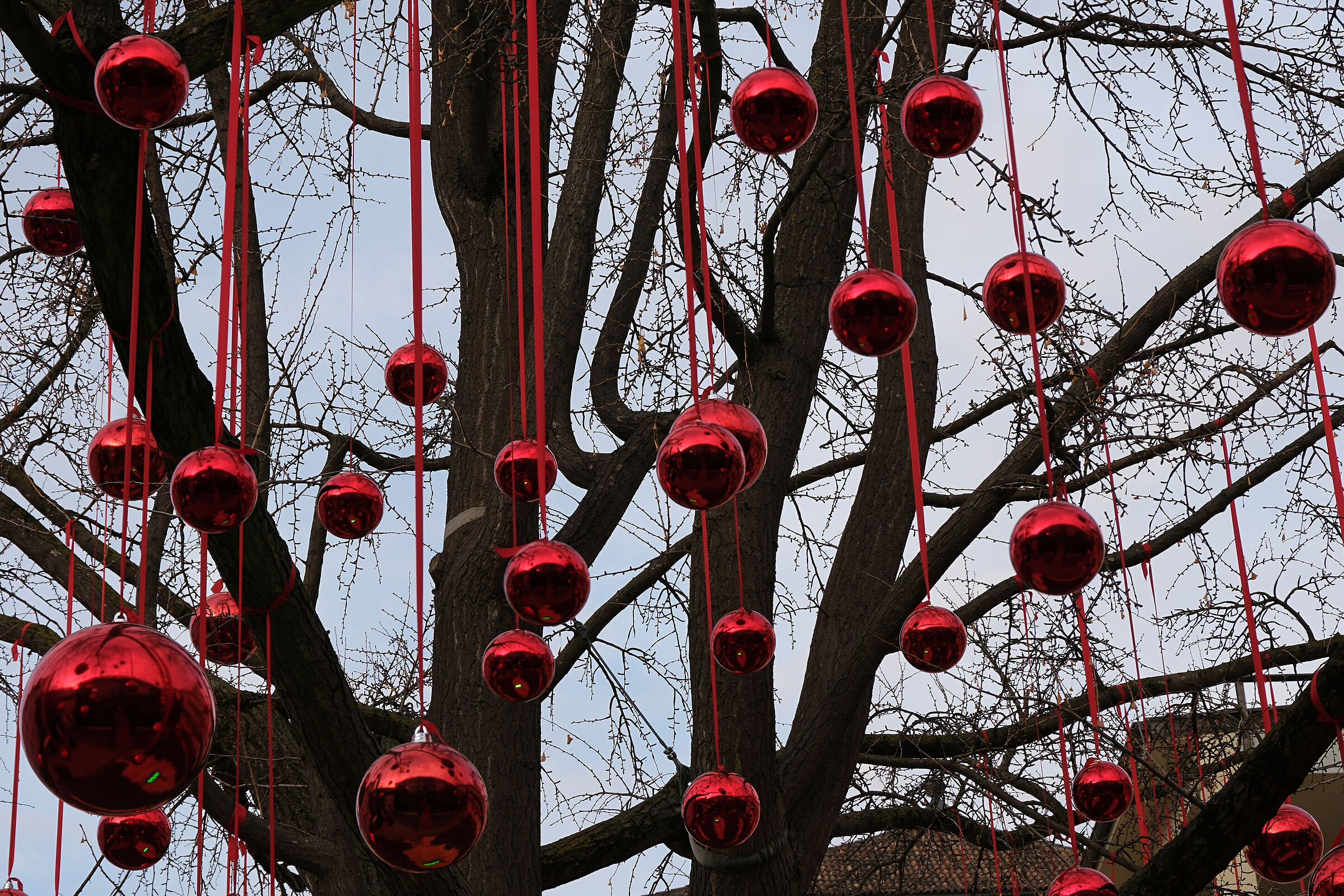 -Natale Rotondo Rosso-