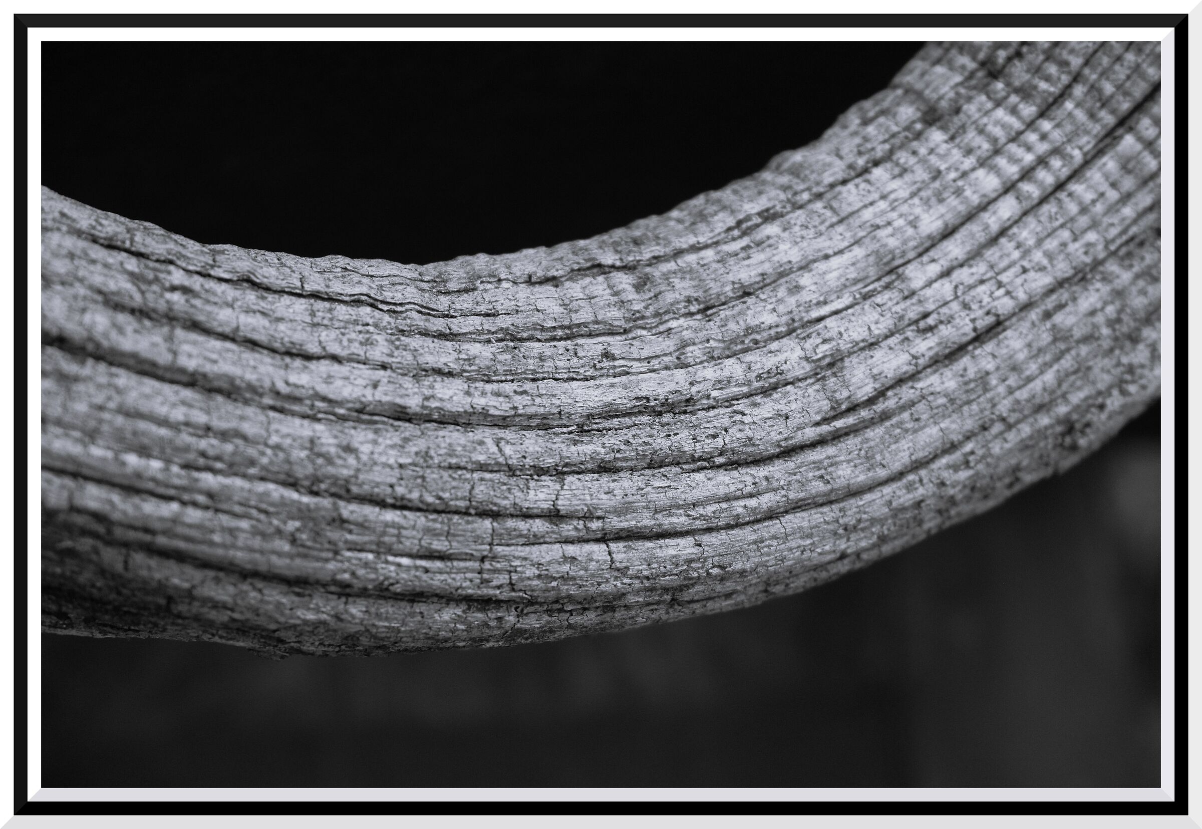 legno