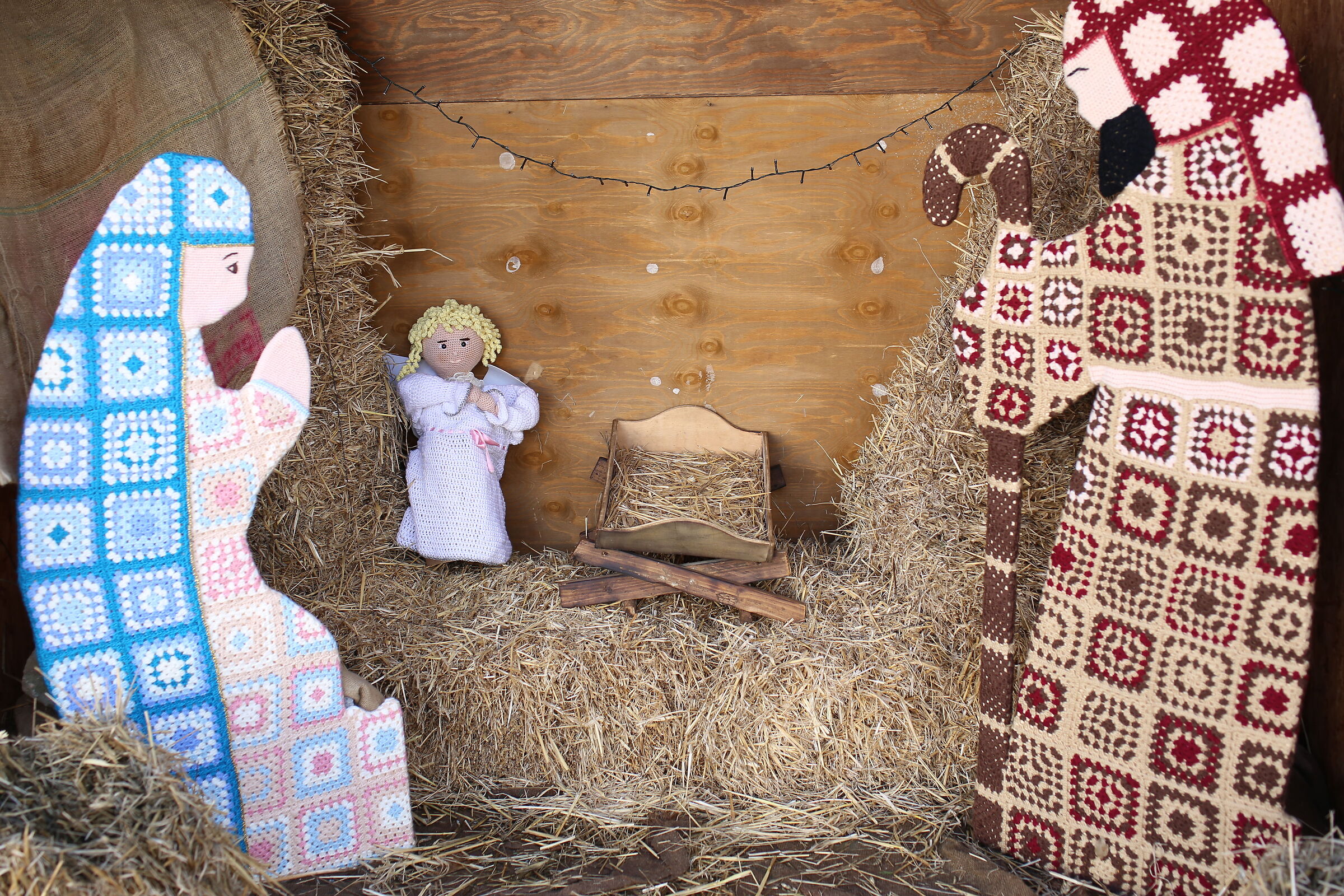 Milvus Zeiss 50, 1.4- Canon 6 D