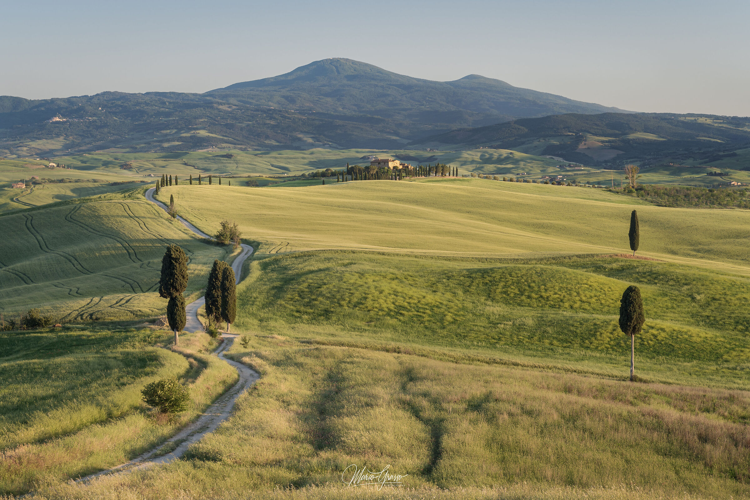 Campi Elisi - Val D'Orcia.