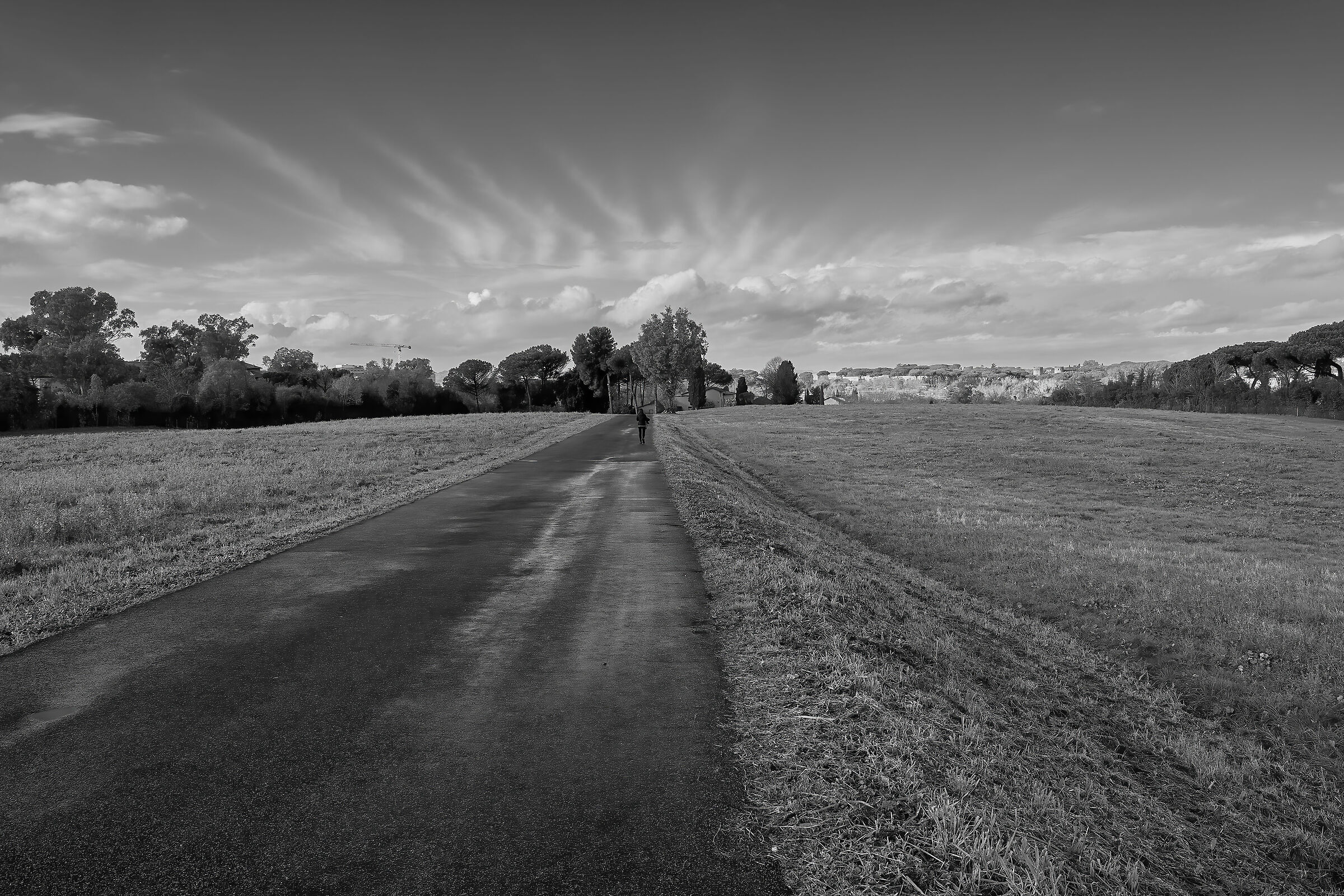 December in black and white