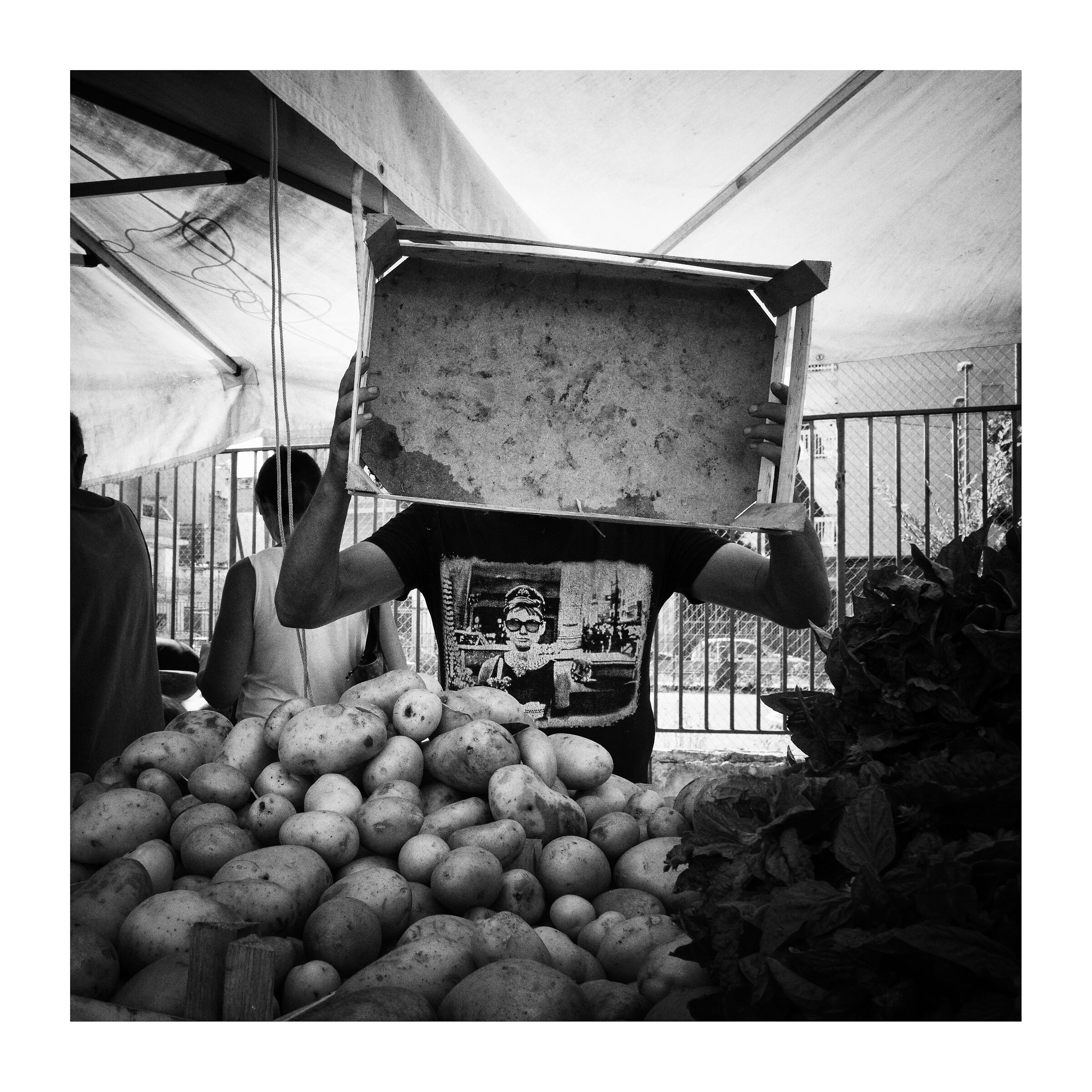 Untitled Photo