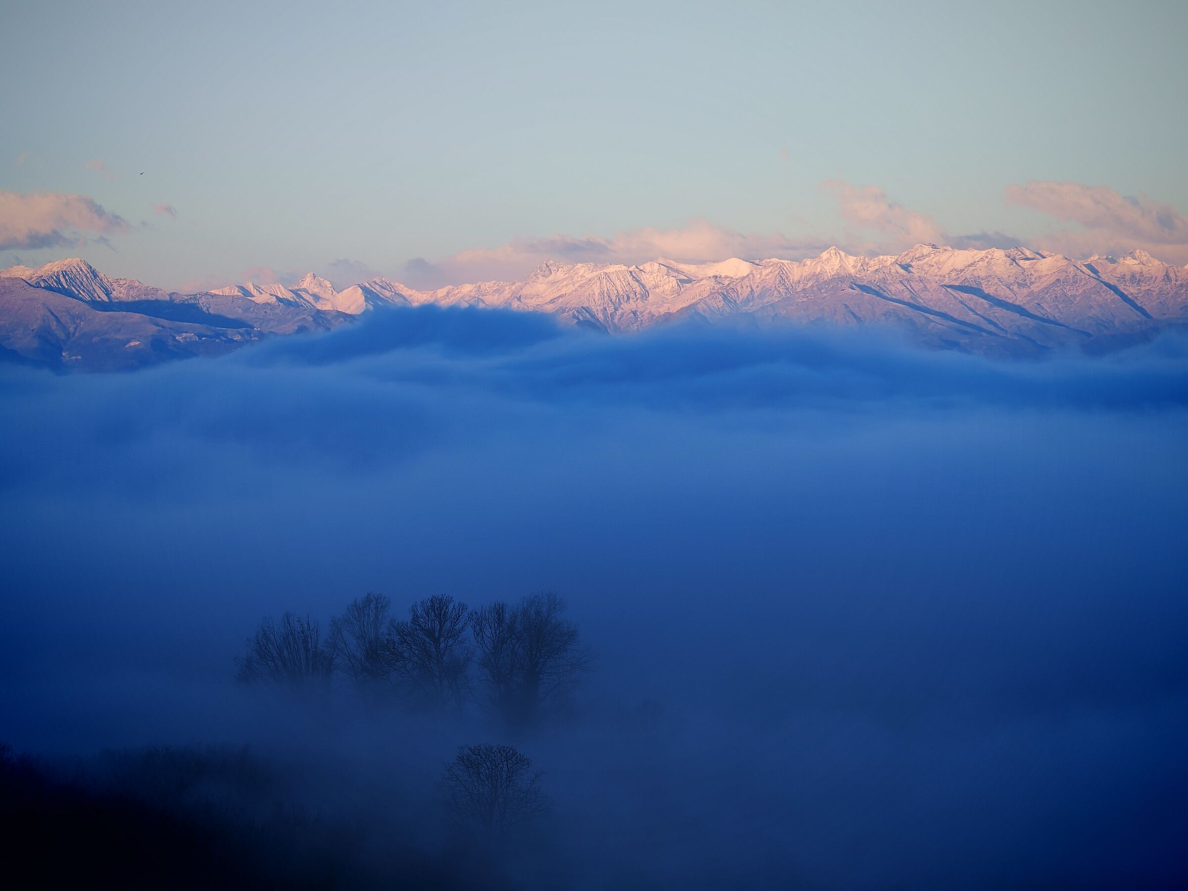 Even the trees enjoy the show