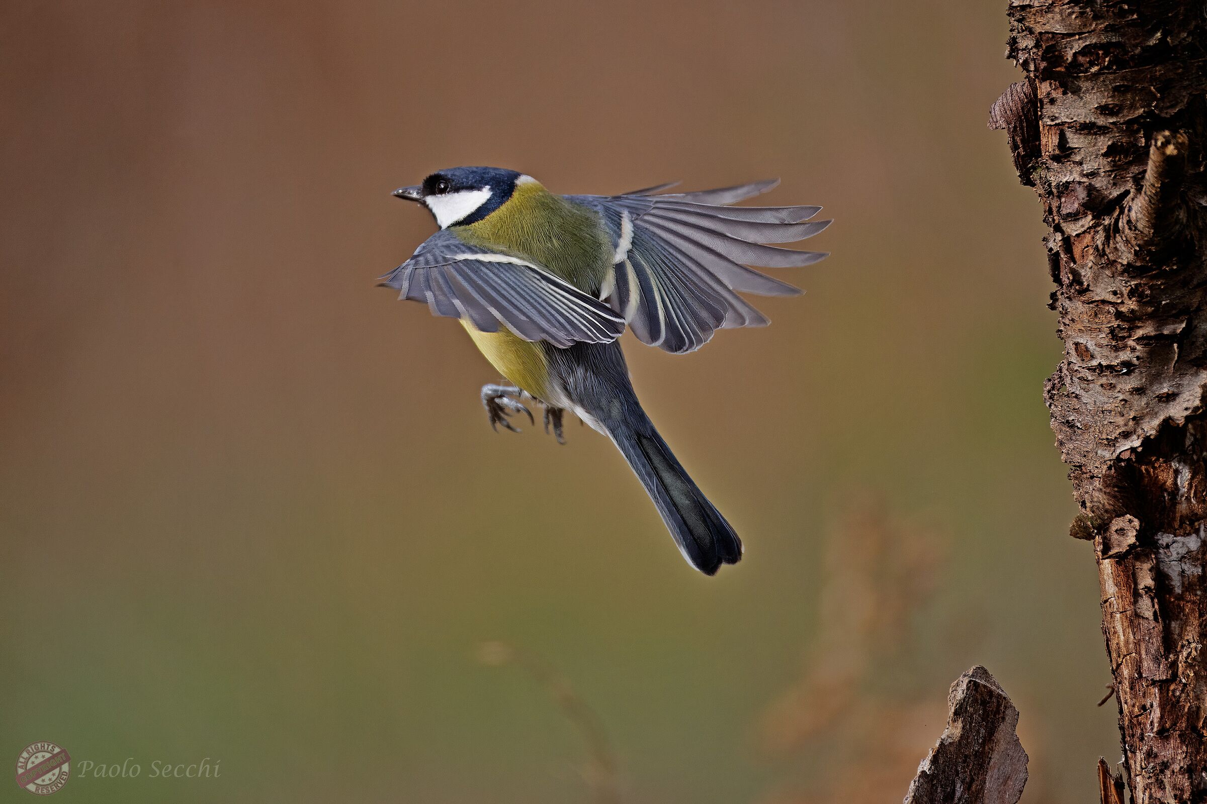 Early morning takeoff