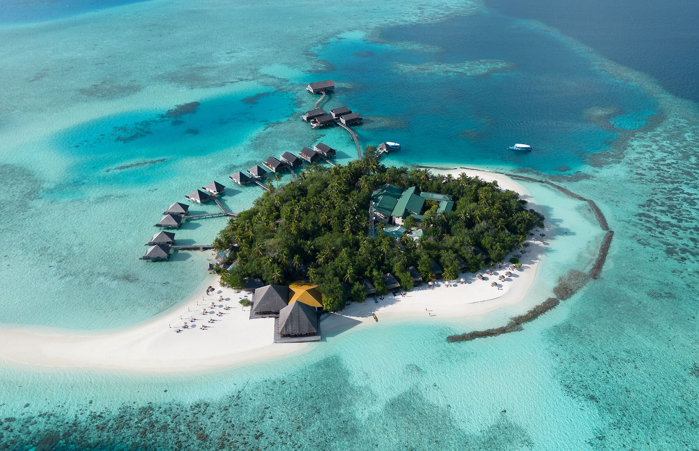 Everything you need to daydream