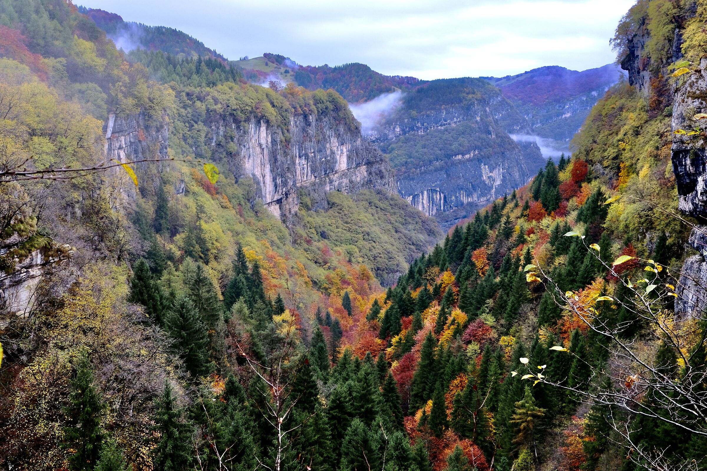 Autumn 2024 - Valley