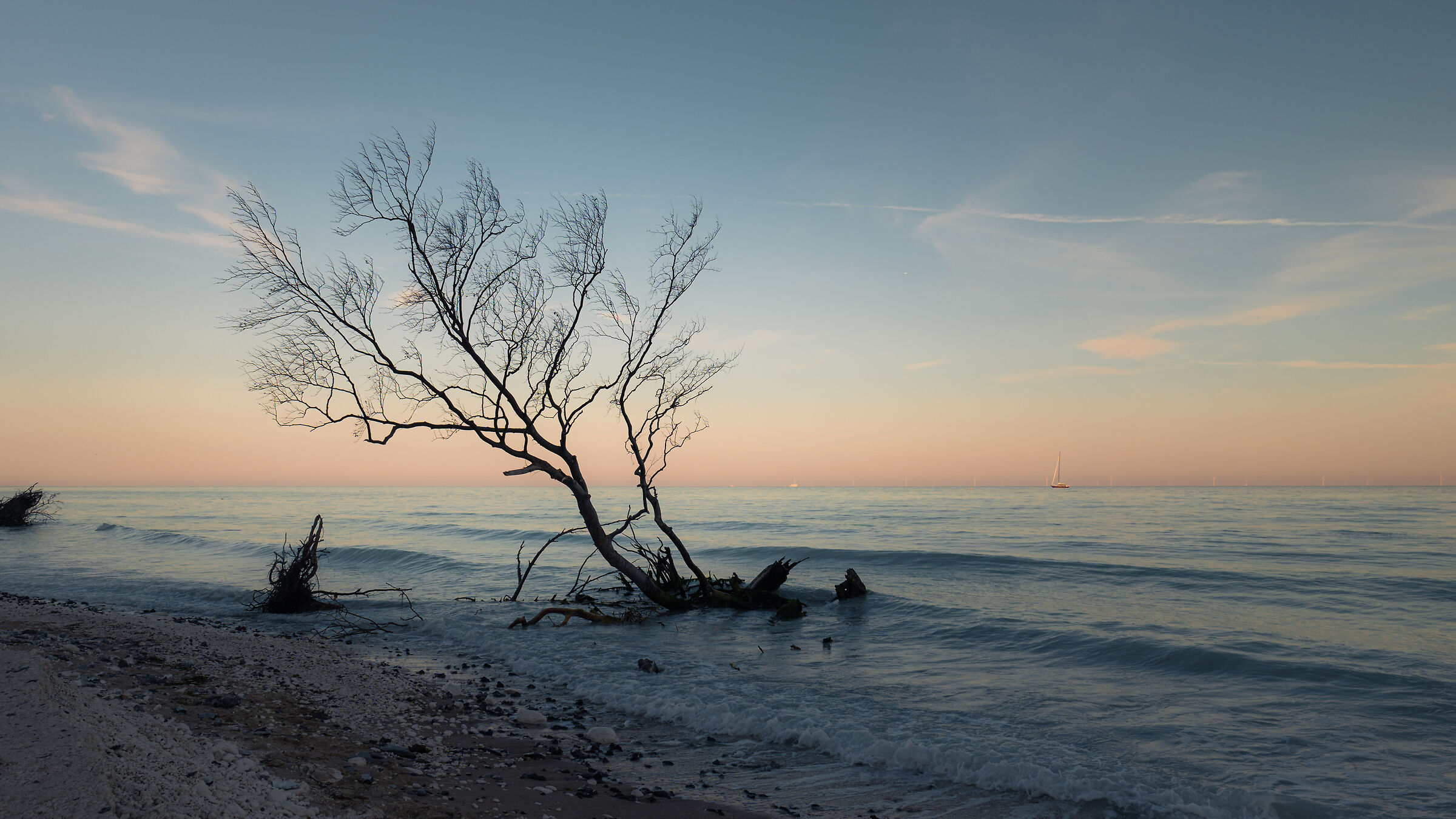 Life in Danish waters