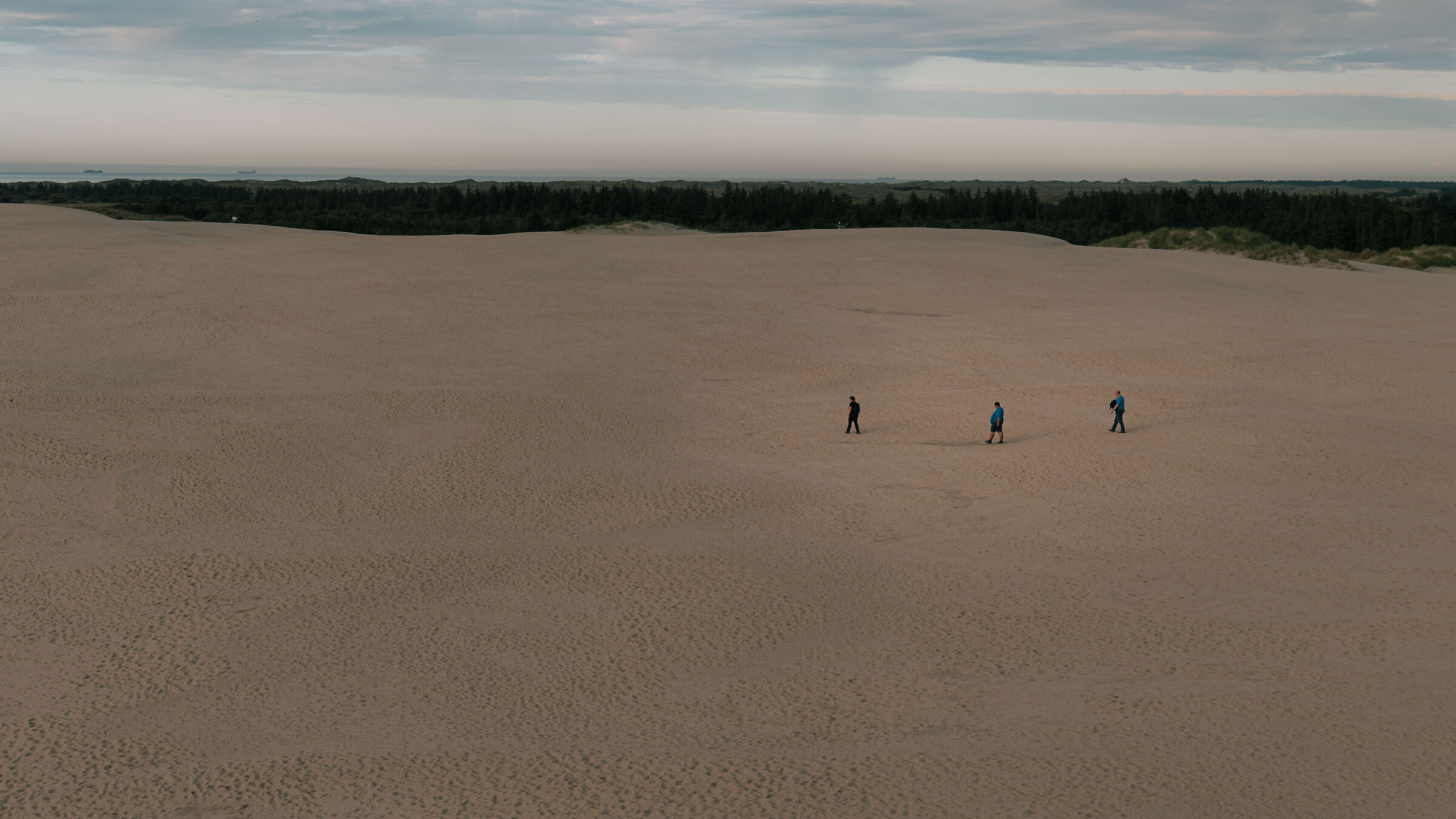 Sand dunes in Denmark