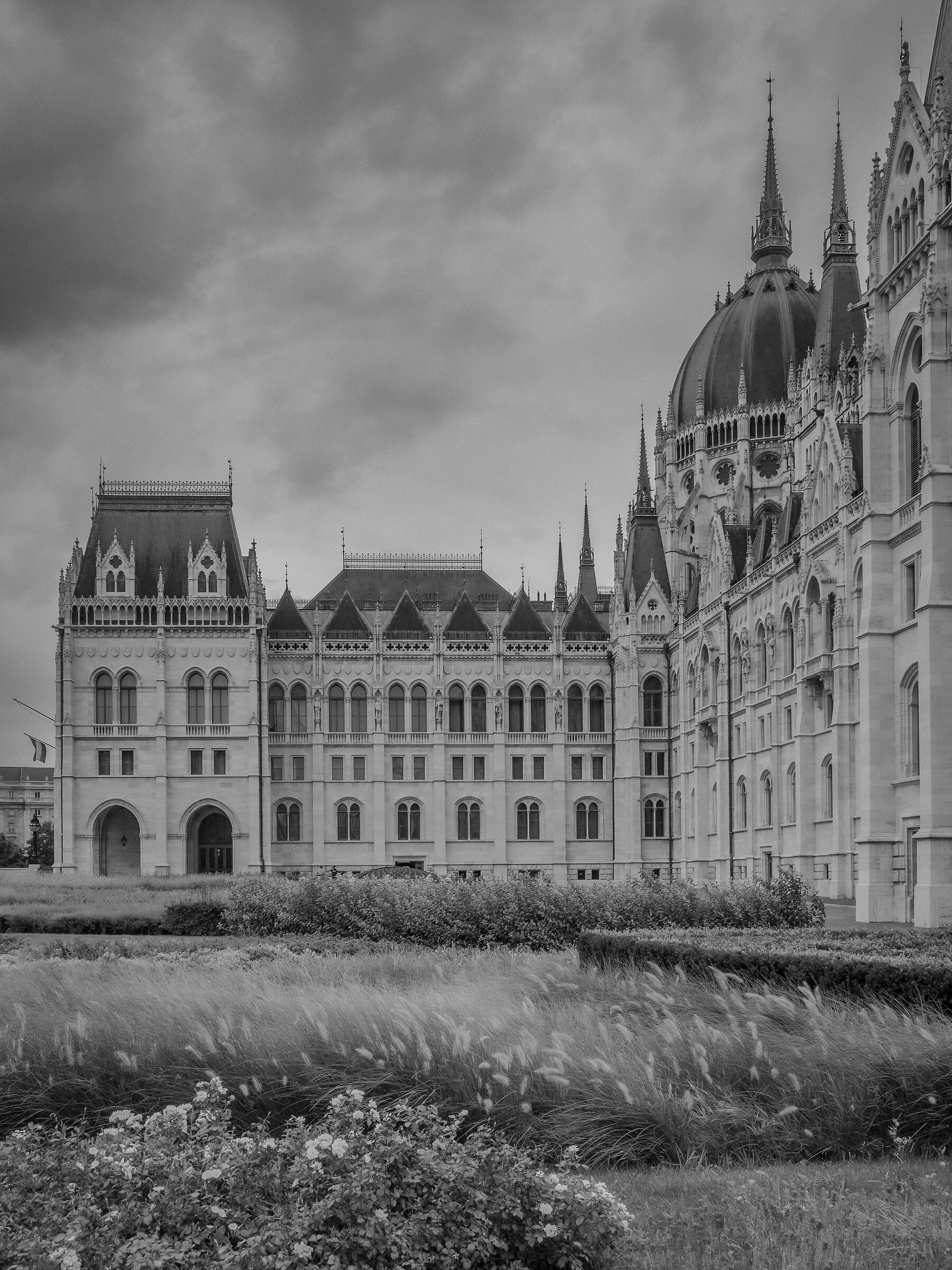 Scorcio del Parlamento Budapest