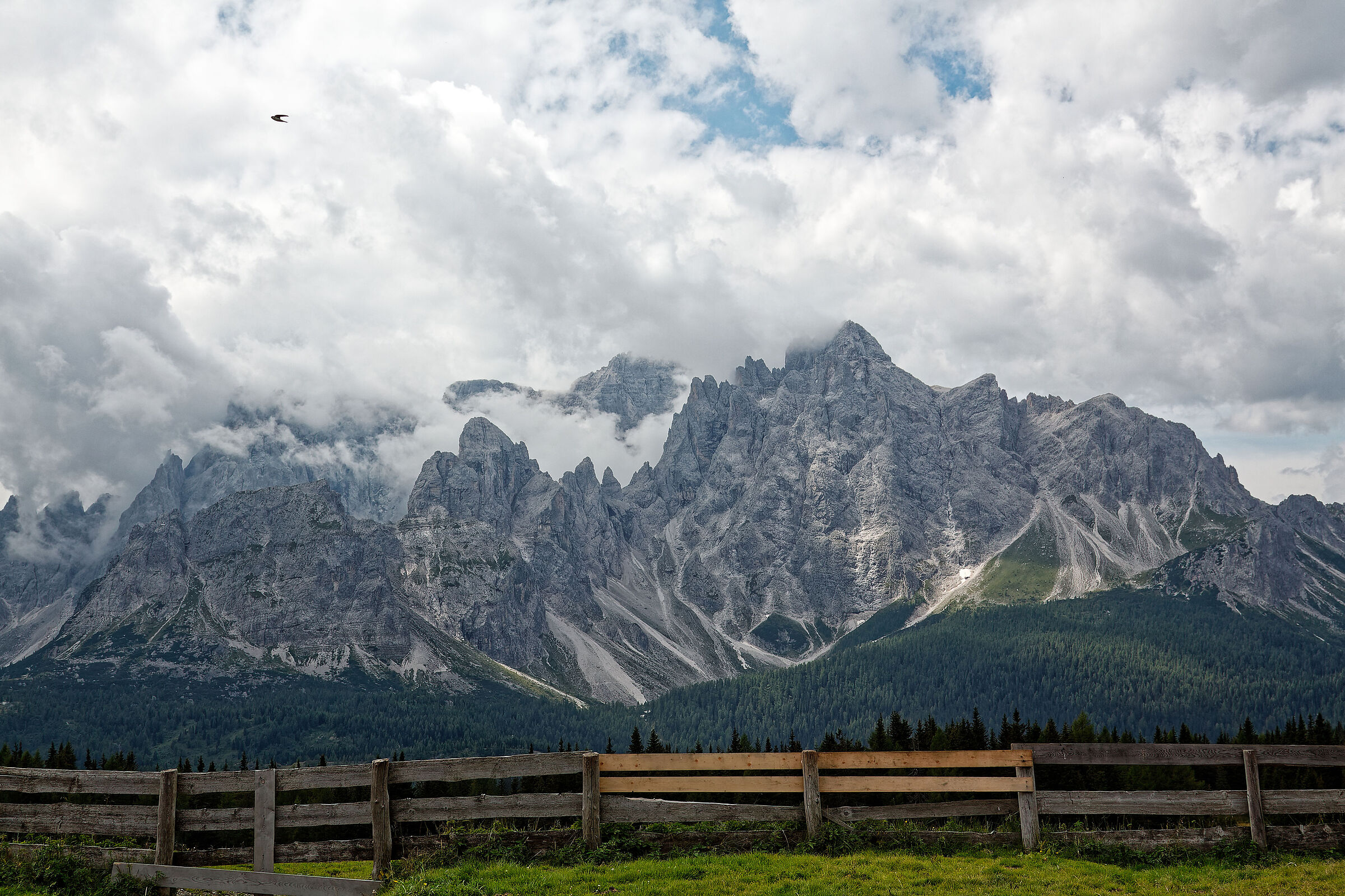 Veduta dalla Malga "Alpe di Nemes"