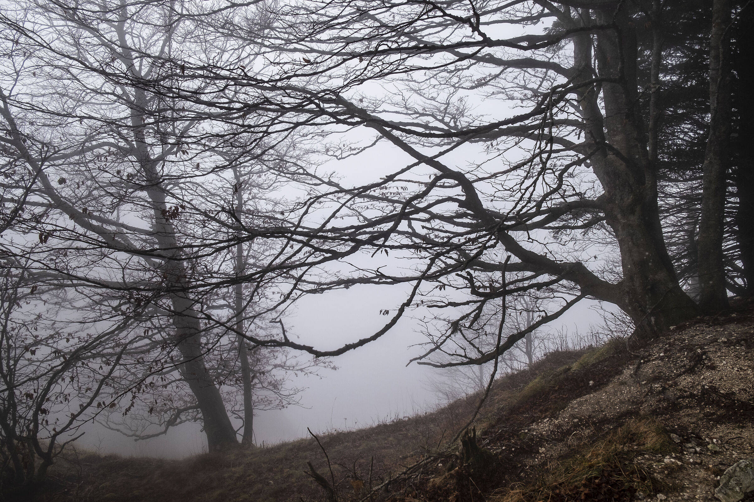 Monte Grappa in the fog of the clouds